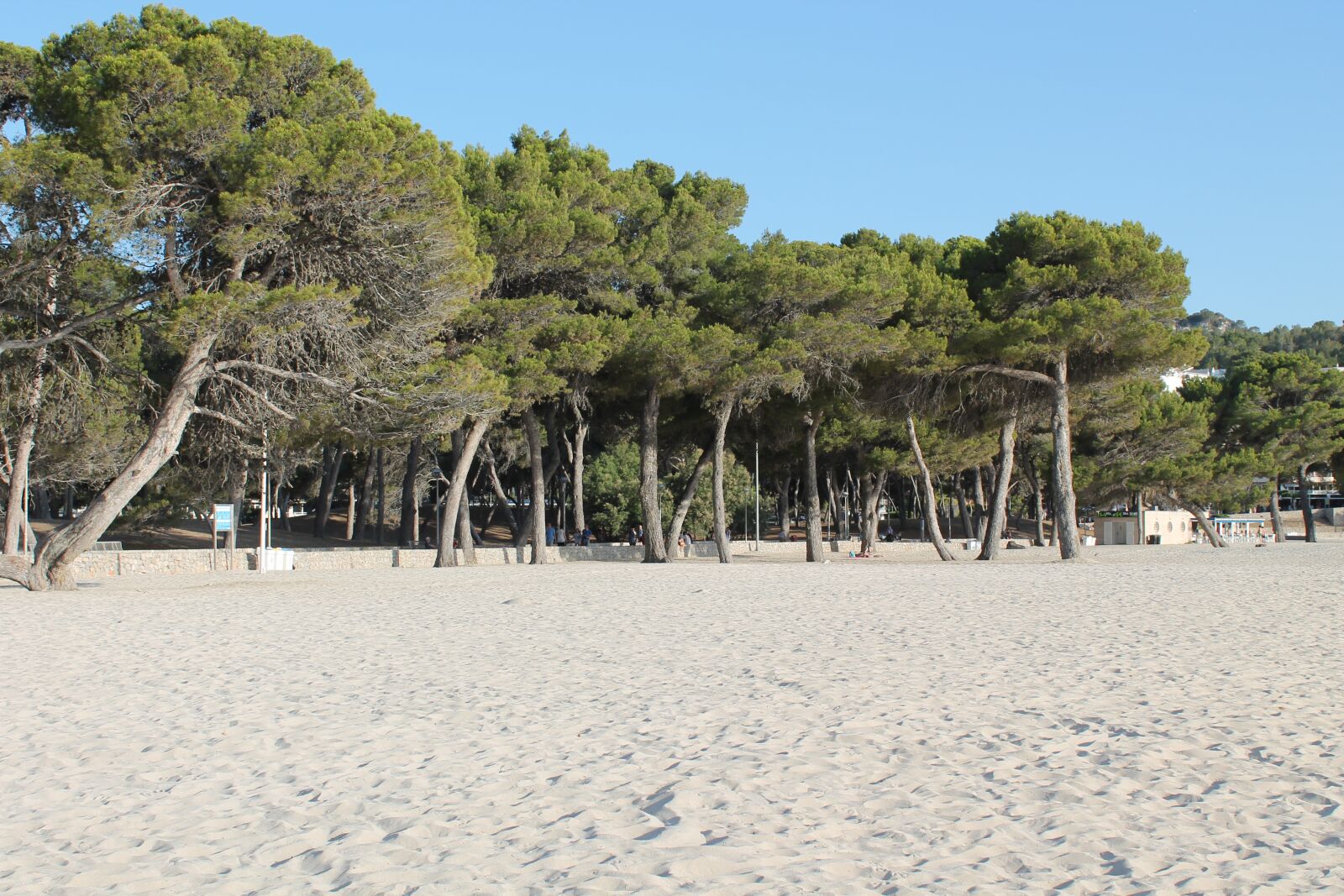 Canon EOS 1100D (EOS Rebel T3 / EOS Kiss X50) sample photo. Mallorca, santa ponsa, beach photography