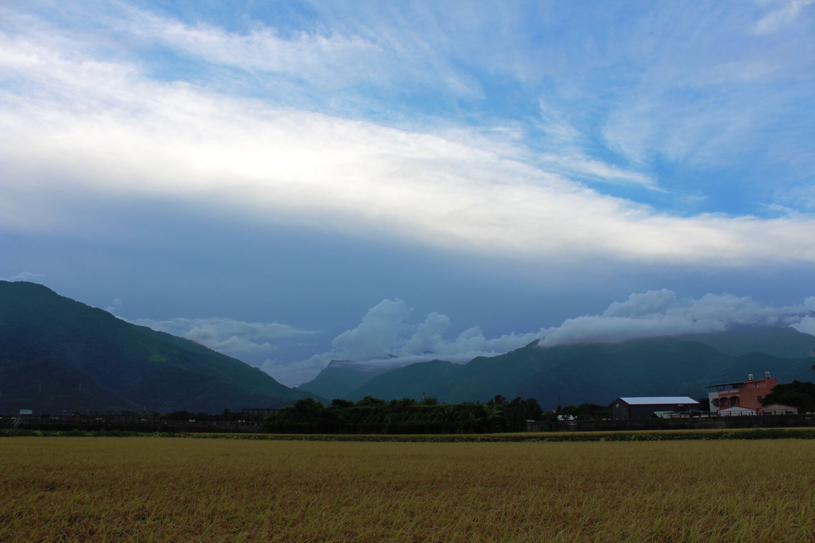 Canon EOS 650D (EOS Rebel T4i / EOS Kiss X6i) sample photo. A bird's eye view photography