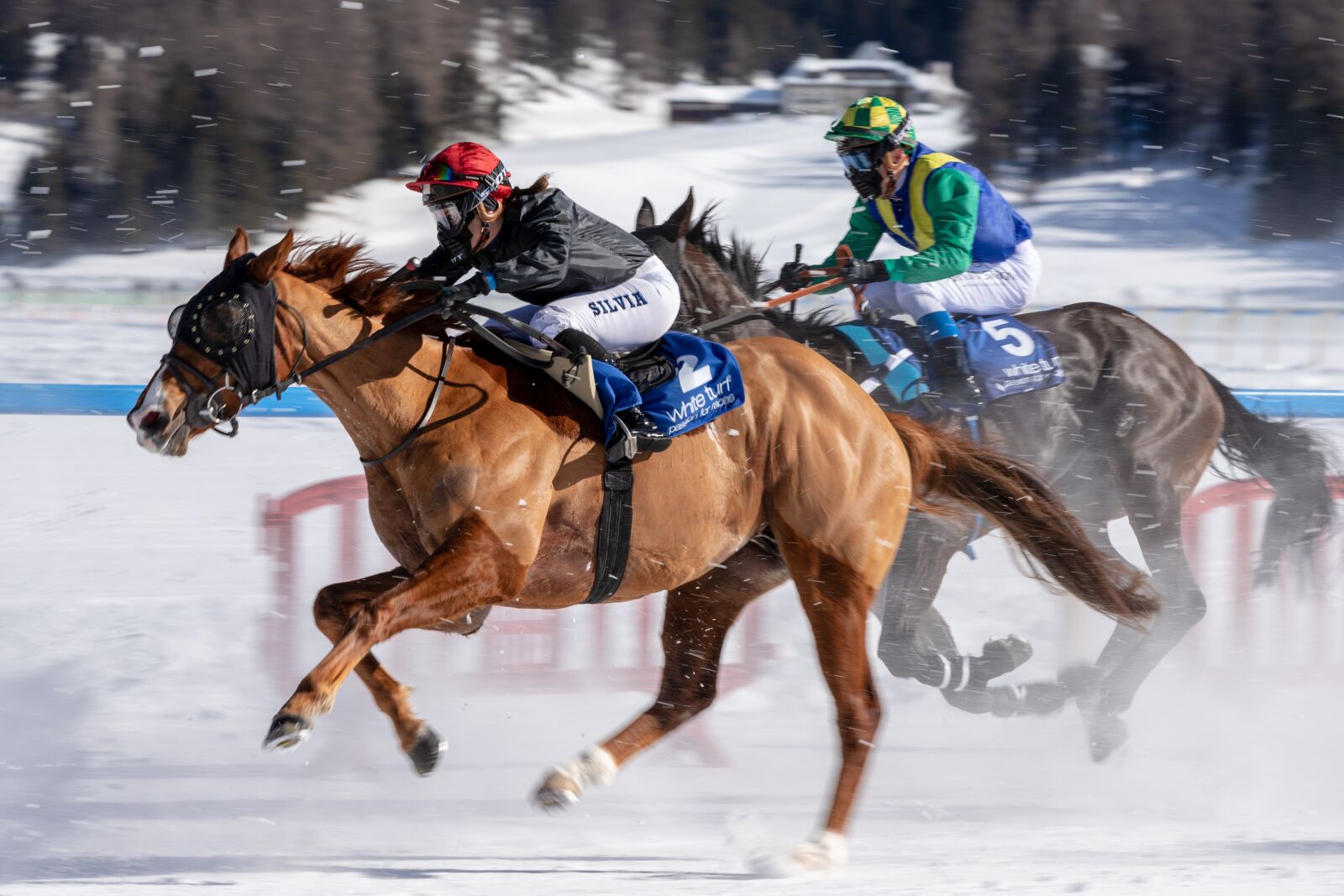 Canon EOS 6D Mark II sample photo. White turf, horse racing photography