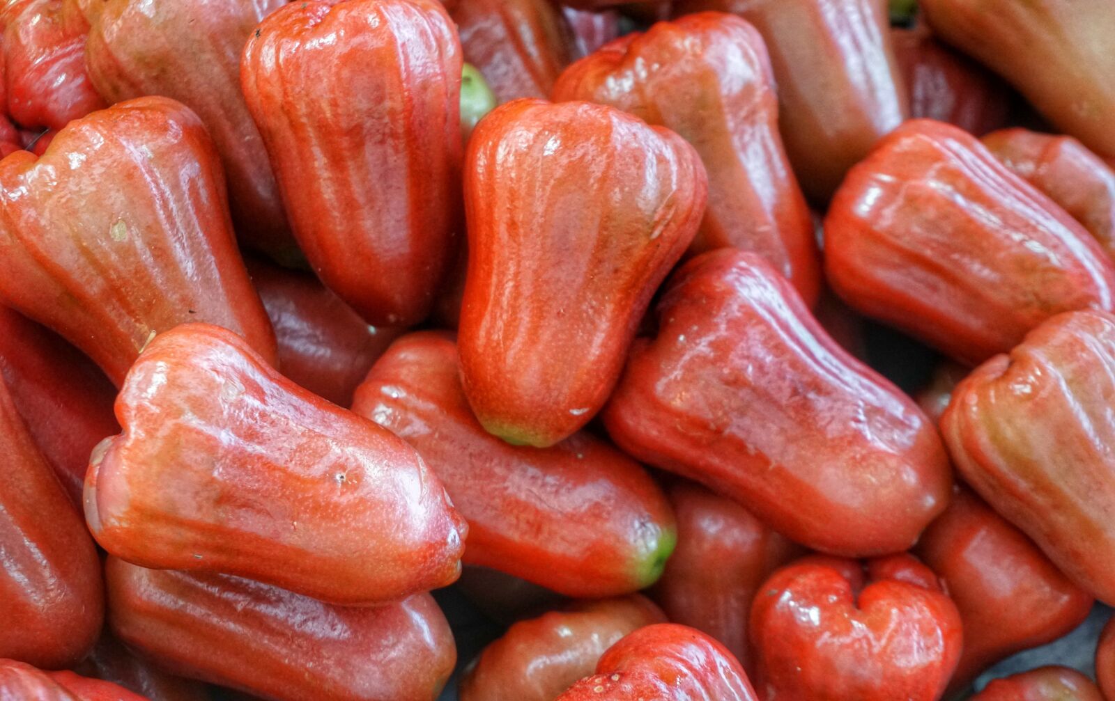 Sony a6300 sample photo. Rose apple, bell apple photography
