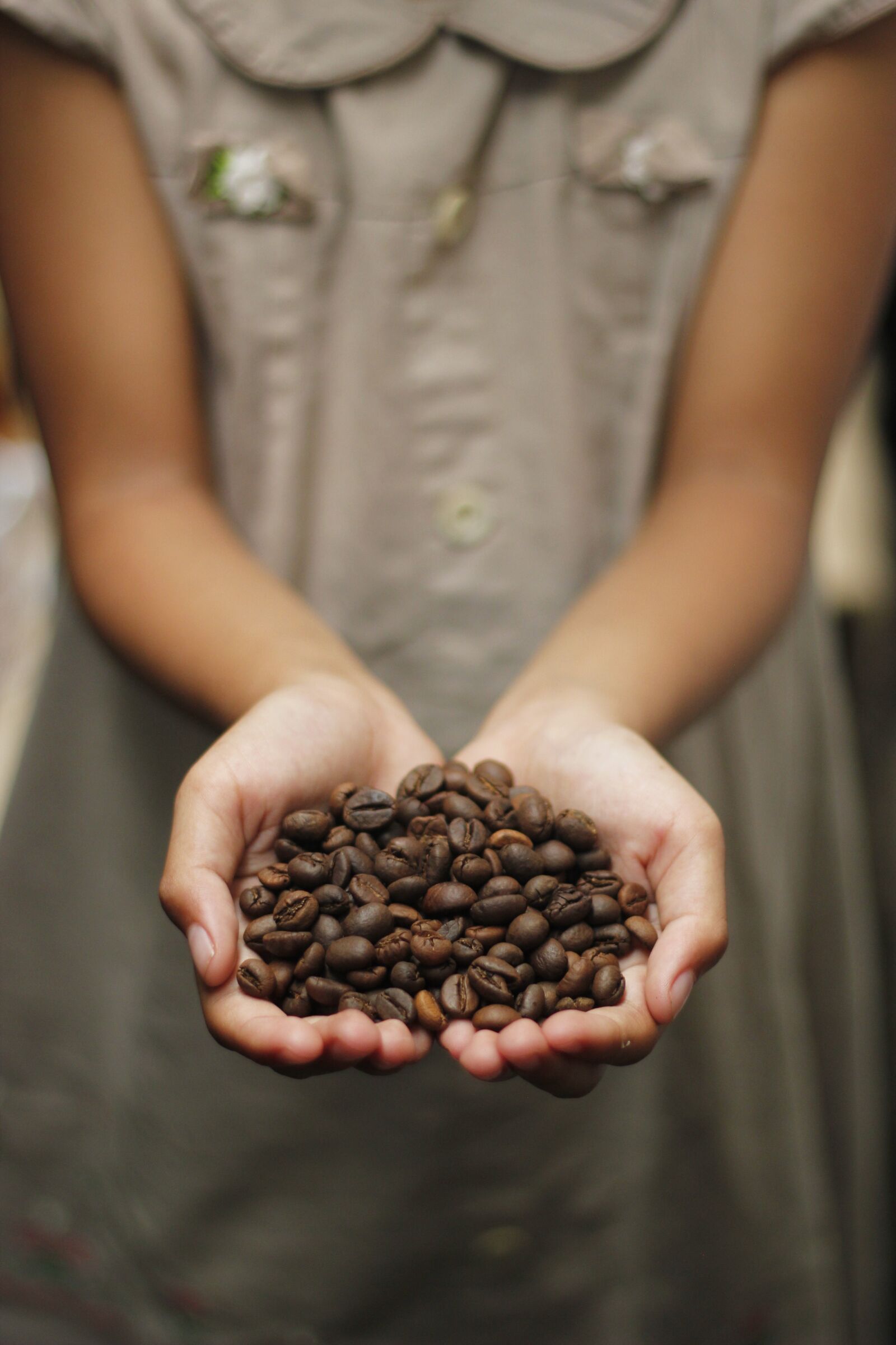 Canon EOS 550D (EOS Rebel T2i / EOS Kiss X4) sample photo. Coffee, coffee beans, aroma photography