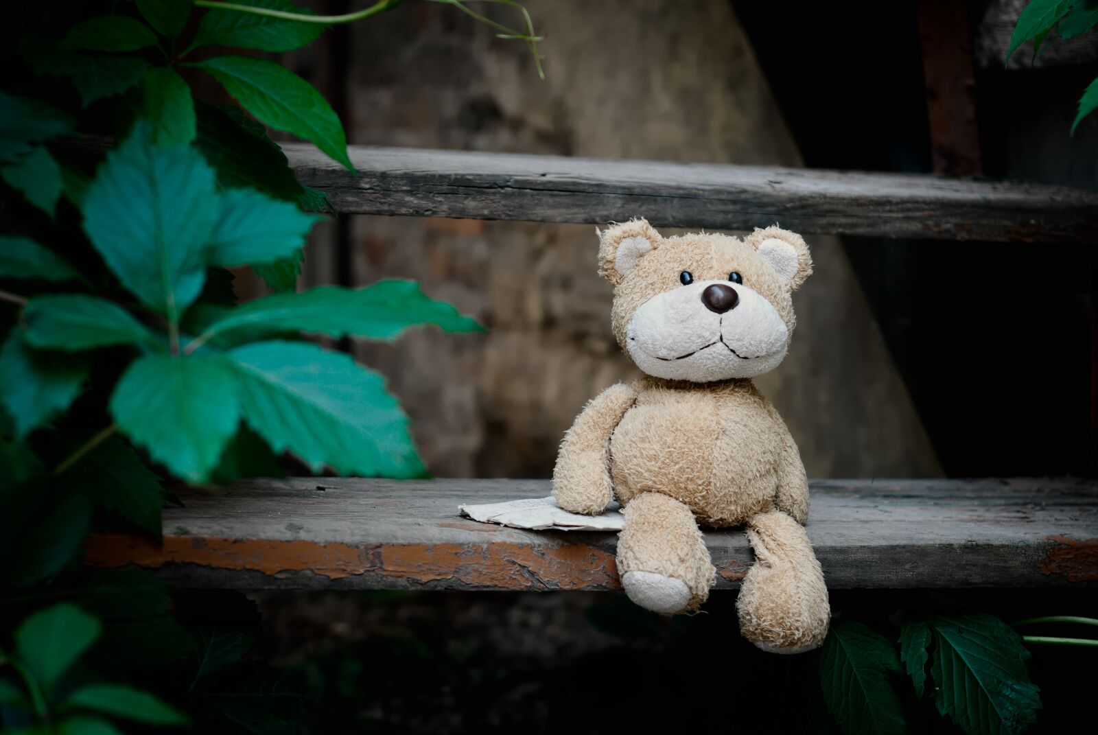 Nikon D80 sample photo. Toy, teddy bear, letter photography