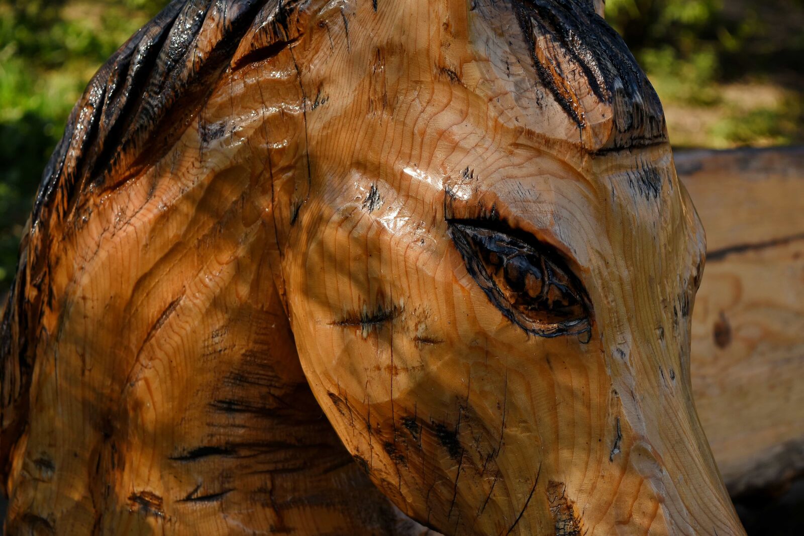 Nikon D5500 sample photo. Art, head, horse, structure photography