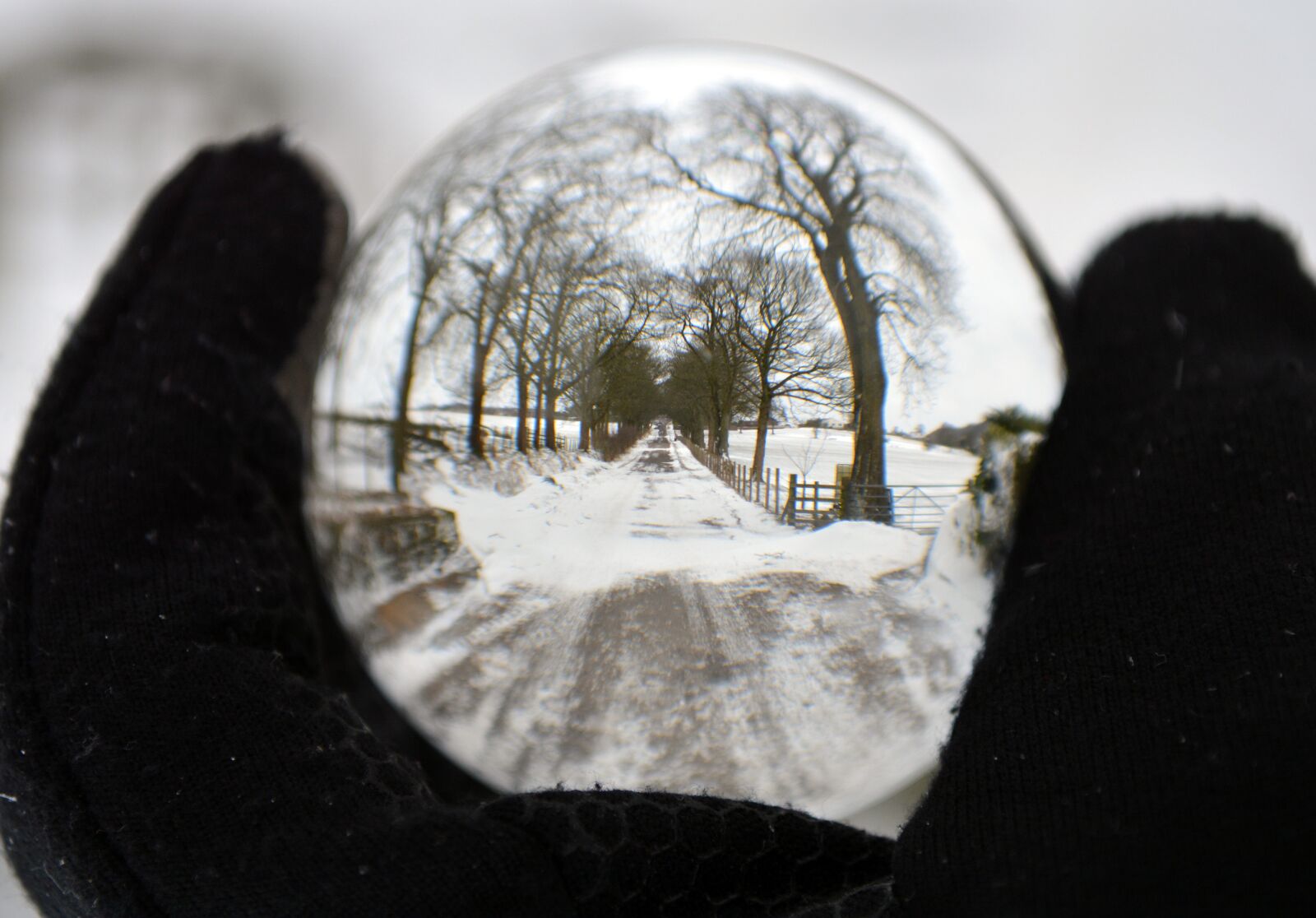 Nikon D7100 sample photo. Winter, snow, cold photography