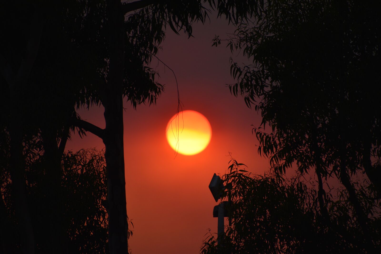 Nikon D3500 sample photo. Sun, heat wave, summer photography