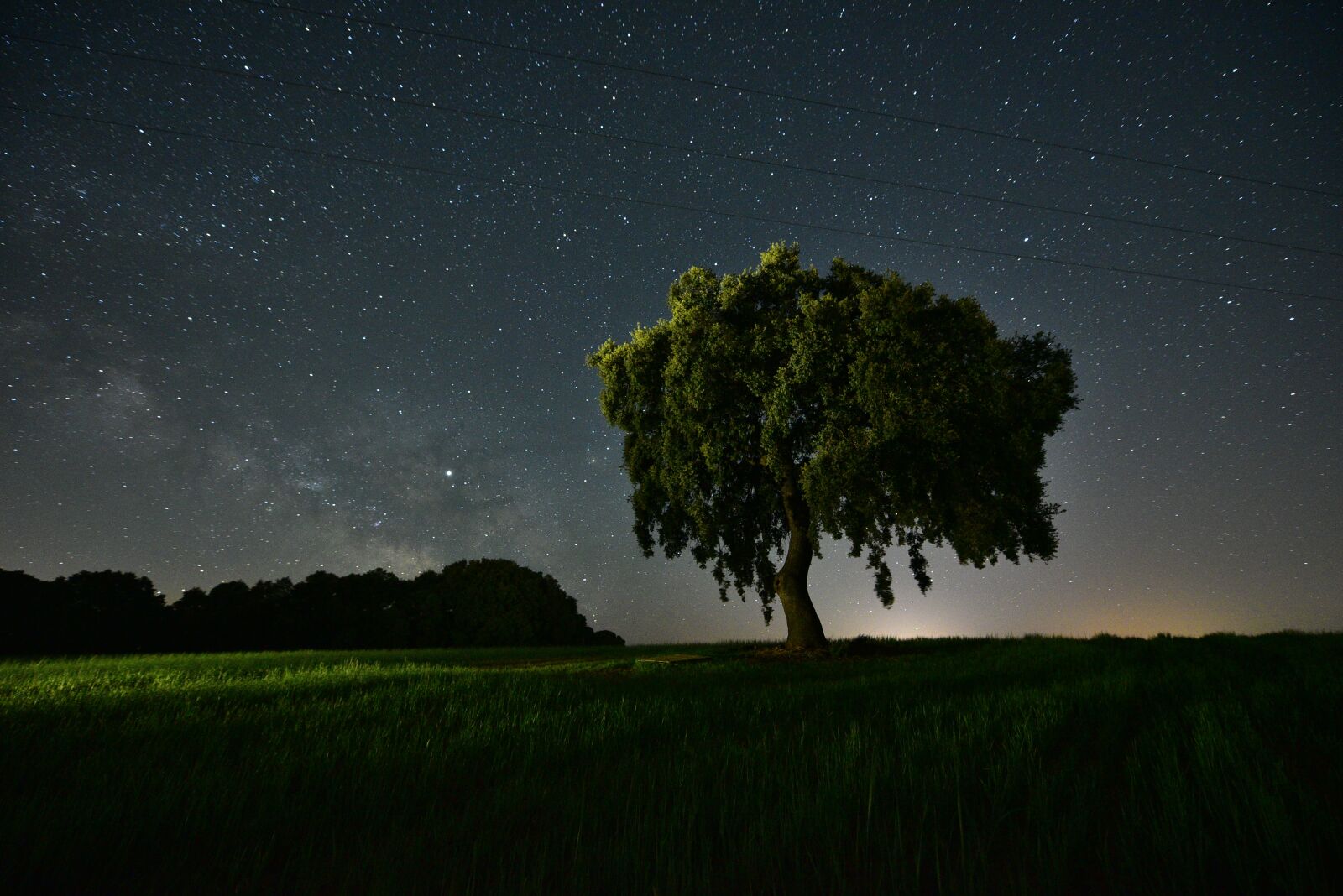 Nikon D750 sample photo. Field, night, star photography