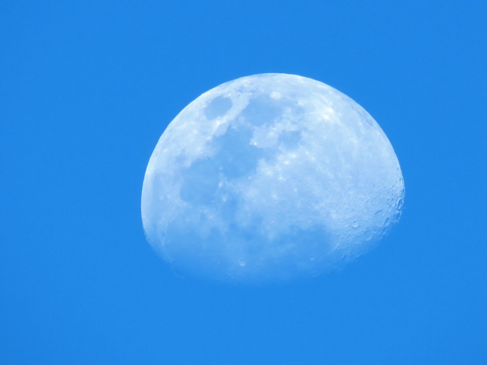 Canon PowerShot SX60 HS sample photo