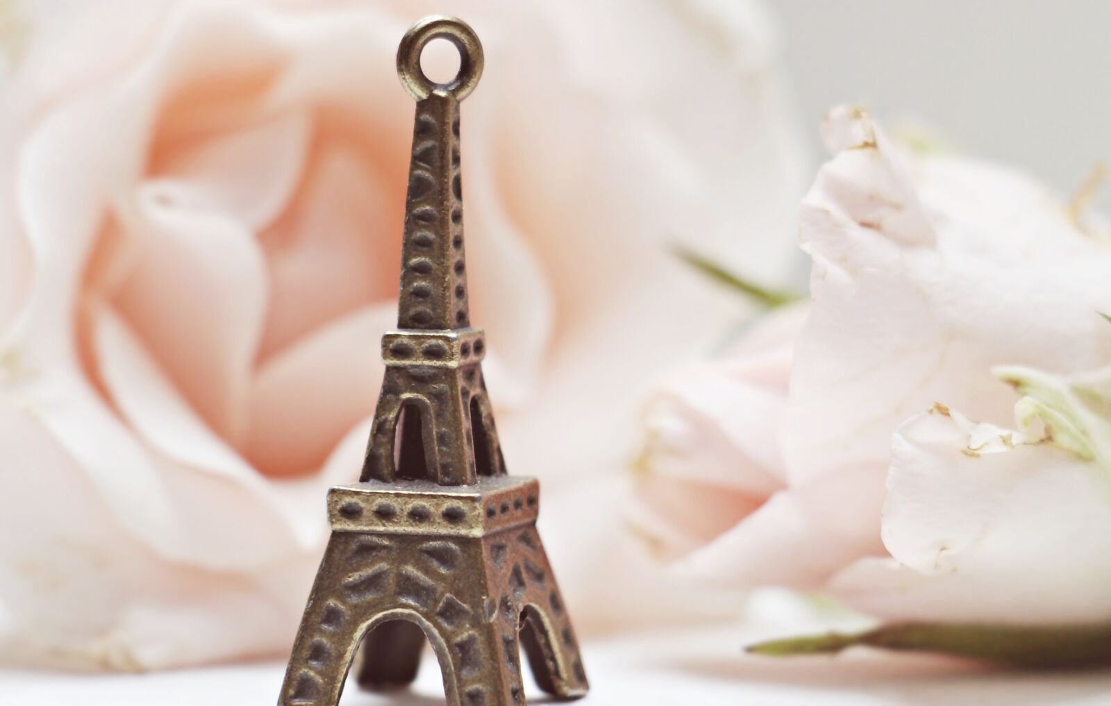 Canon EOS 100D (EOS Rebel SL1 / EOS Kiss X7) sample photo. Eiffel tower, roses, france photography