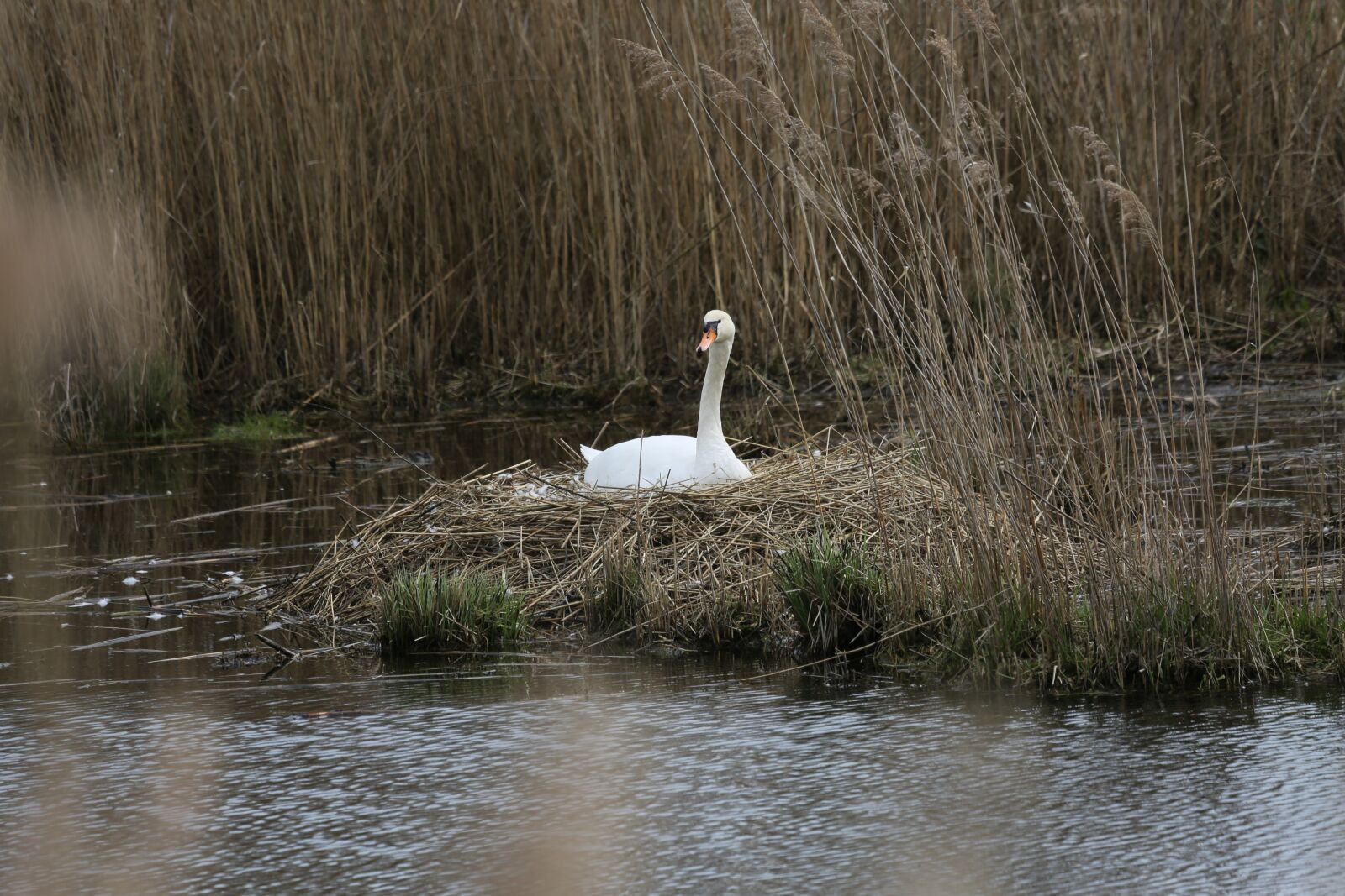 Canon EF 100-400mm F4.5-5.6L IS USM sample photo. Waters, lake, reflection photography