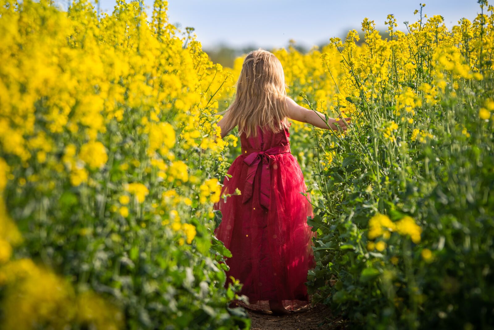 Nikon D7200 sample photo. Child, oilseed rape, mood photography
