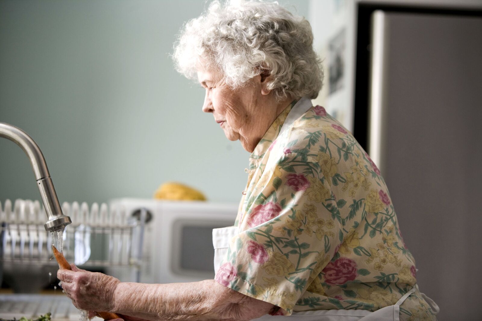 Canon EOS-1Ds Mark II sample photo. Kitchen, granny, cleaning, fresh photography