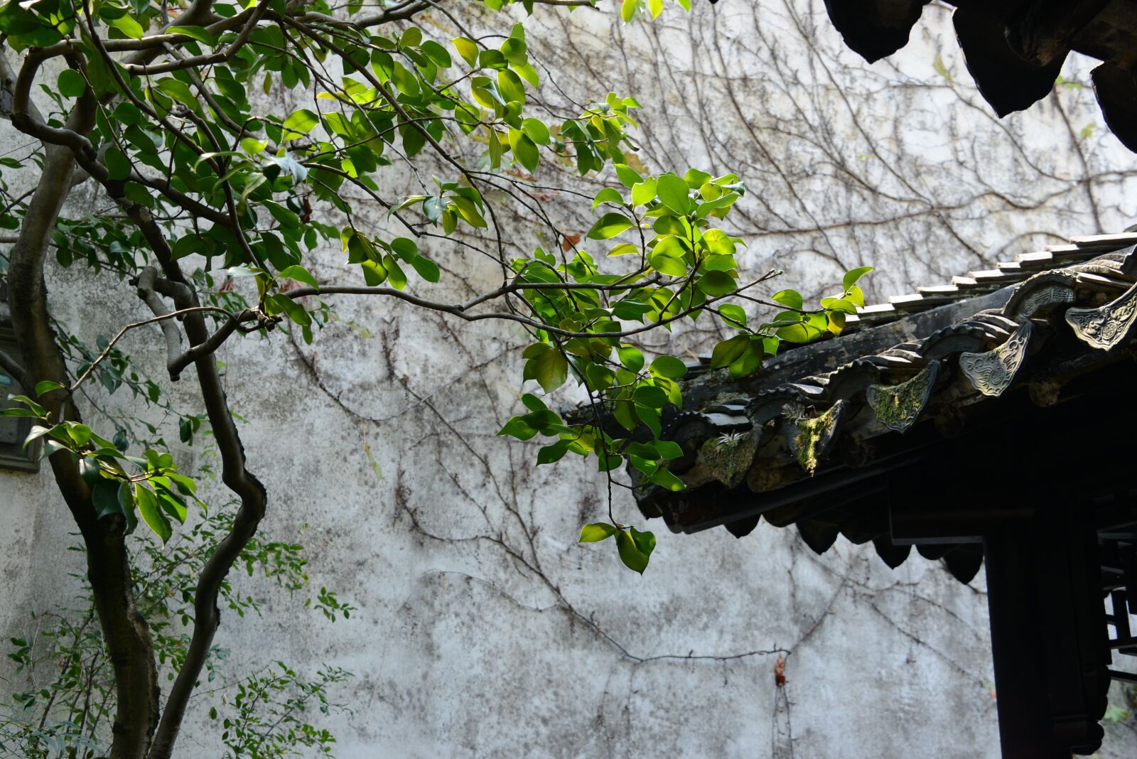 Nikon D800 sample photo