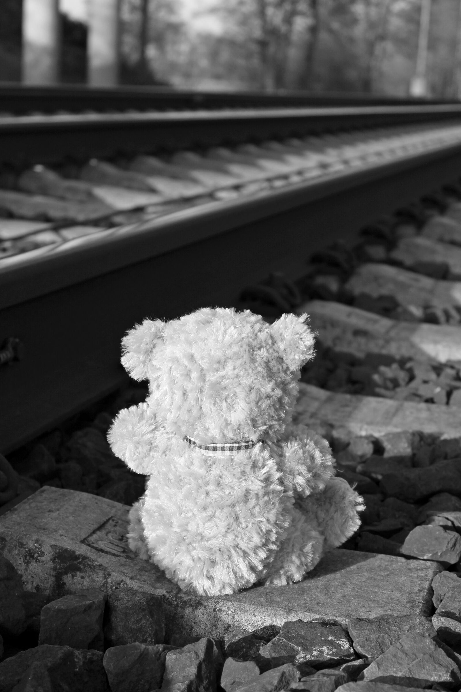 Canon EOS 1200D (EOS Rebel T5 / EOS Kiss X70 / EOS Hi) sample photo. Teddy, teddy bear, bear photography