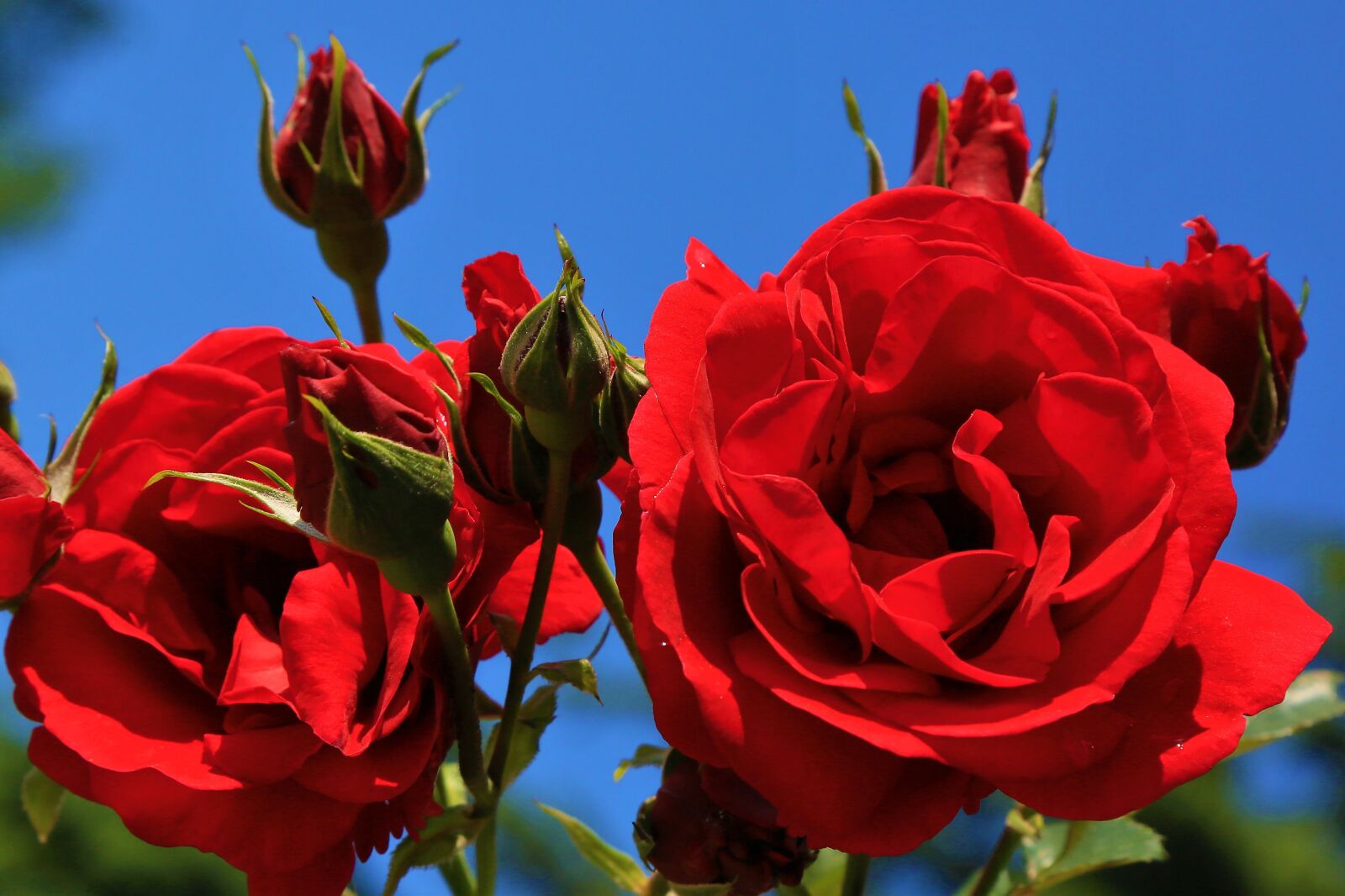 Canon EF 24-105mm F4L IS USM sample photo - jisWmsJB4P - ExploreCams