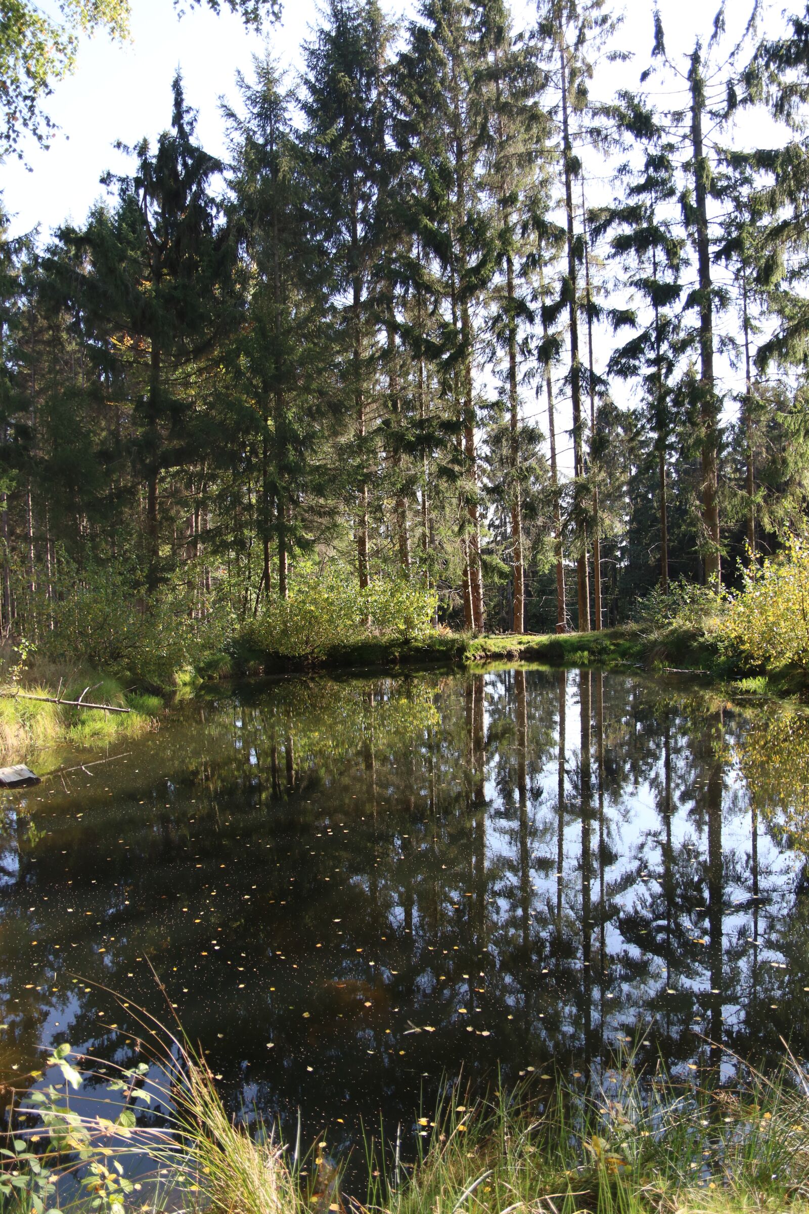 Canon EOS 750D (EOS Rebel T6i / EOS Kiss X8i) sample photo. Sea, wood, water photography