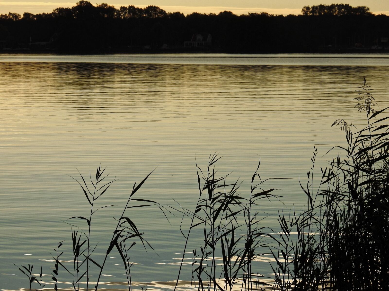 Nikon Coolpix P900 sample photo. Lake, twilight, water photography