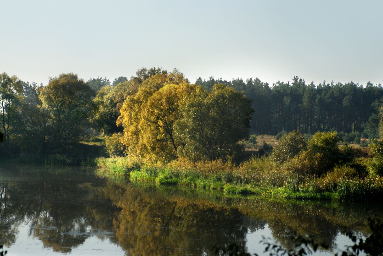 Sony Alpha DSLR-A200 sample photo. Author, skibka, photo photography