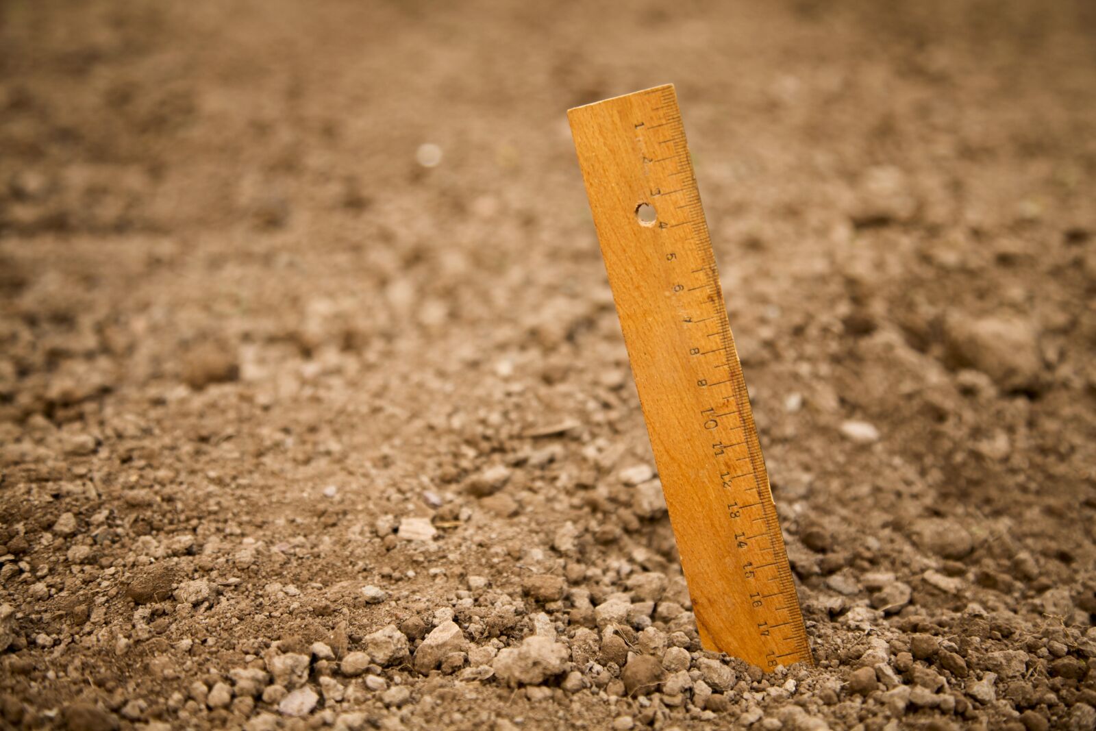 Canon EOS 5D Mark II + Canon EF 24-105mm F4L IS USM sample photo. Ruler, wooden ruler, ground photography