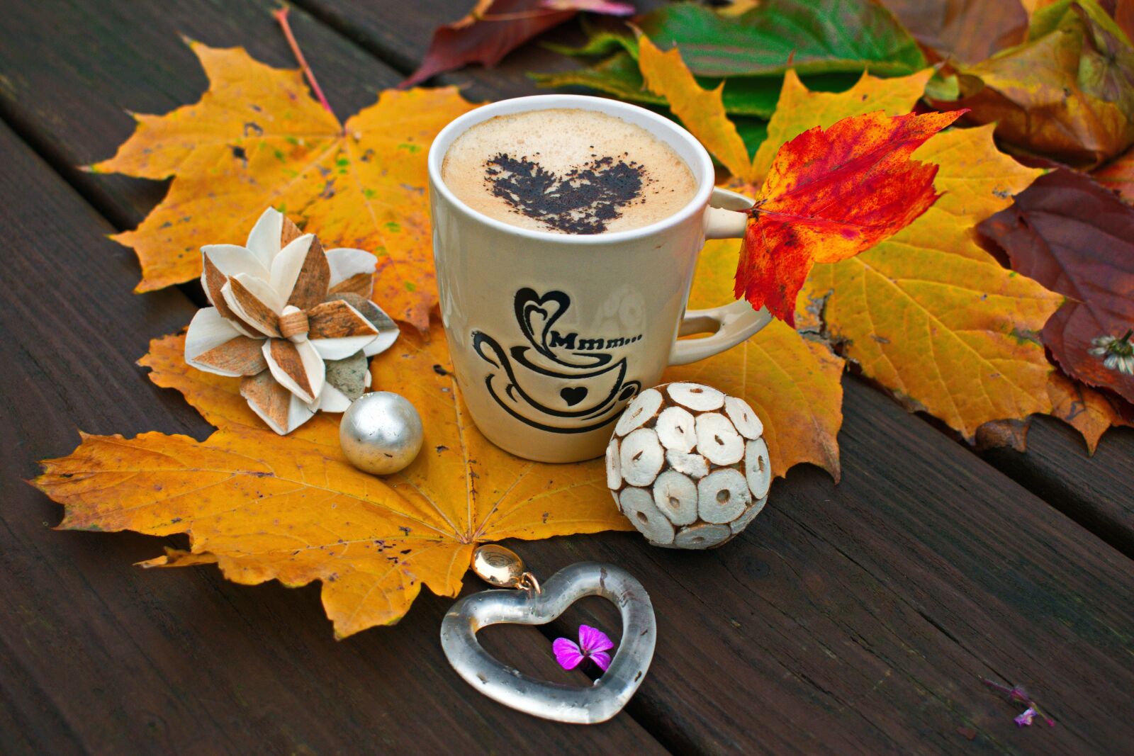 Nikon D3300 sample photo. Coffee, autumn, leaves photography