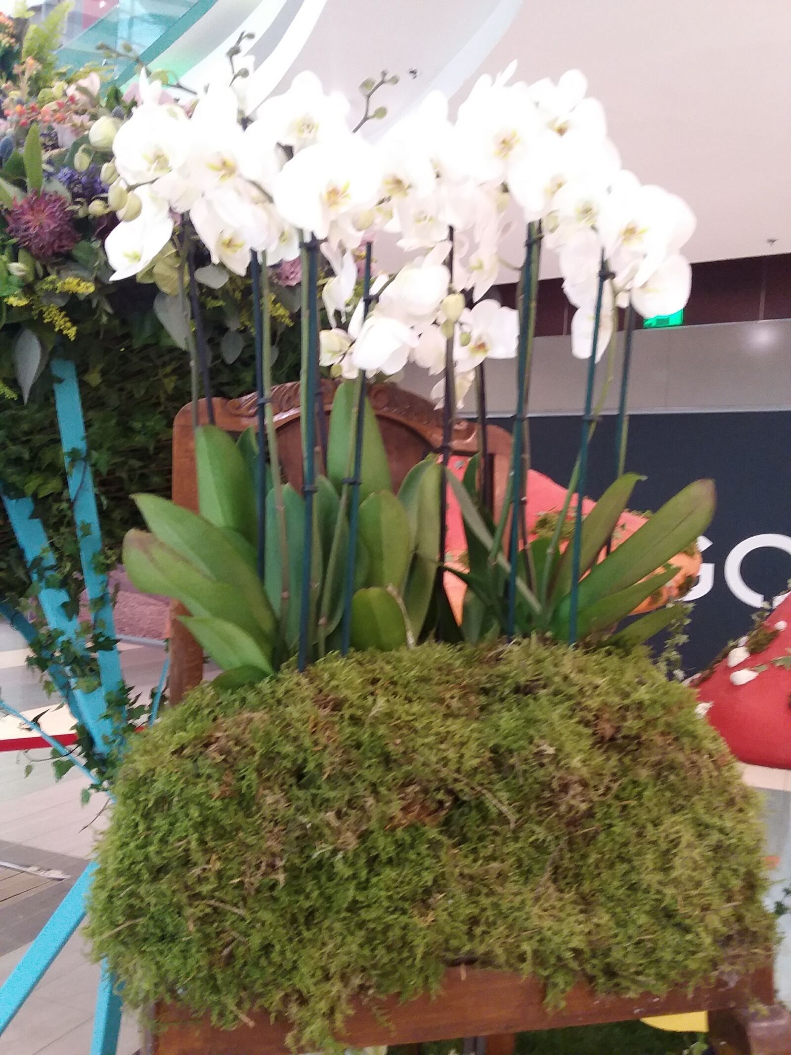 Samsung Galaxy J3(2016) sample photo