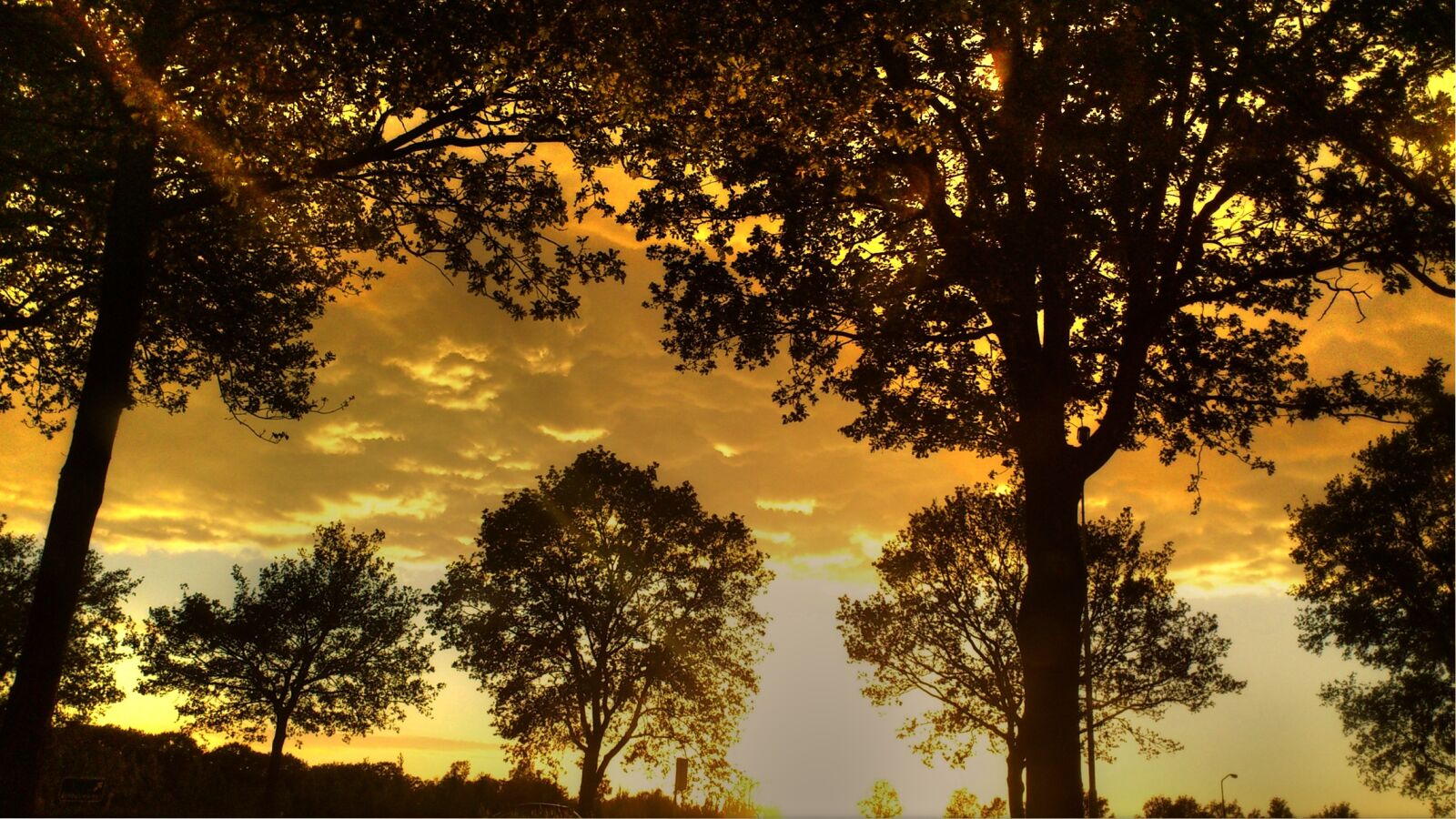 Sony Ericsson Xperia Arc sample photo. Nature, sunset, yellow sky photography