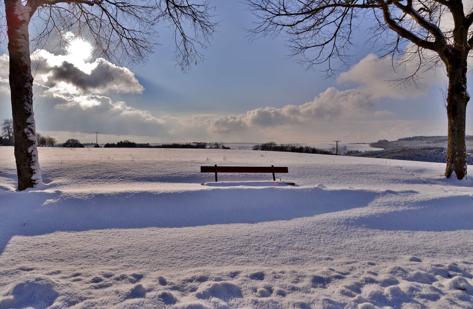 Nikon D600 sample photo. Bench, winter, snow photography