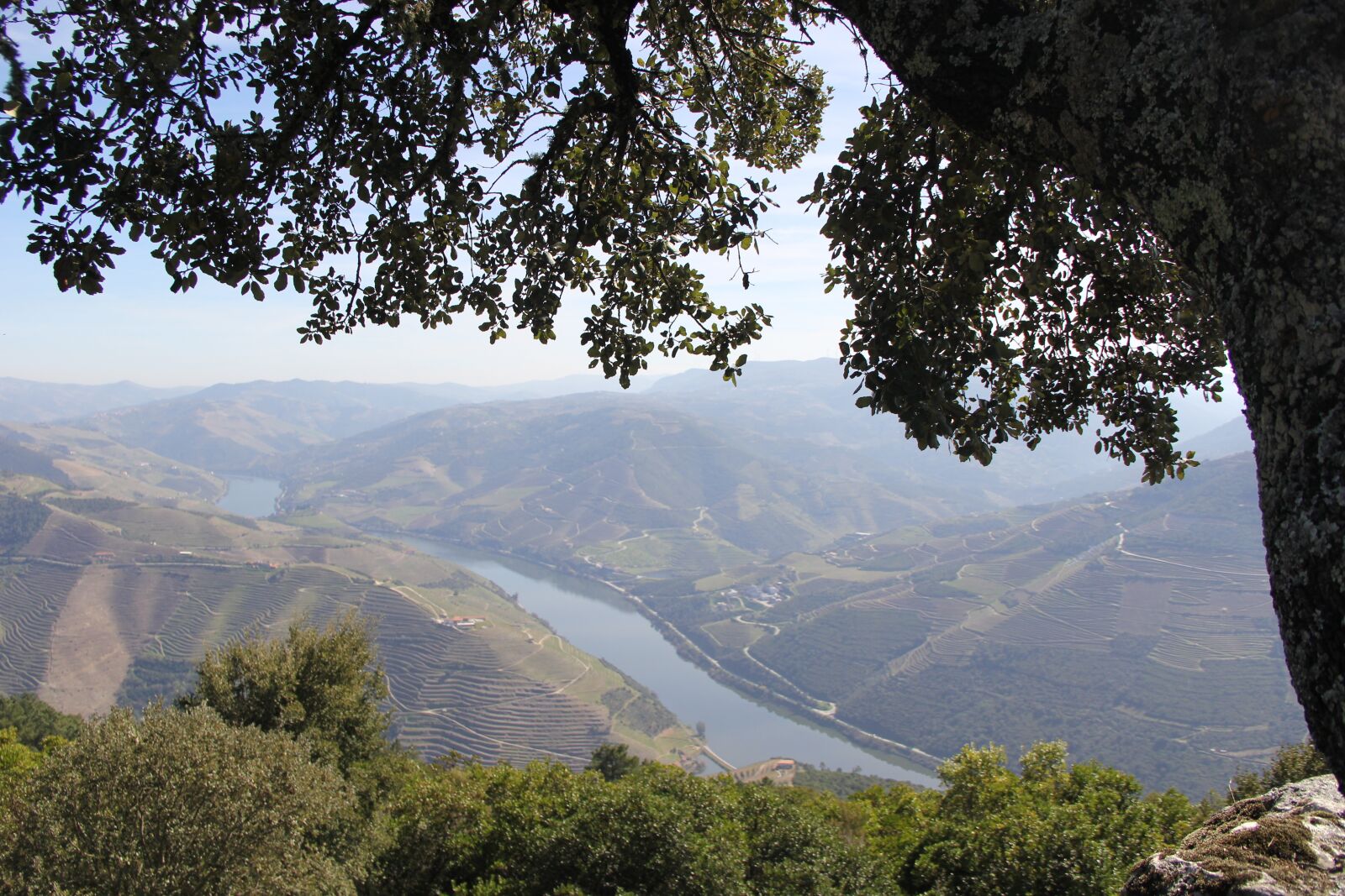 Canon EF-S 18-135mm F3.5-5.6 IS sample photo. Flowers, mountains, douro photography