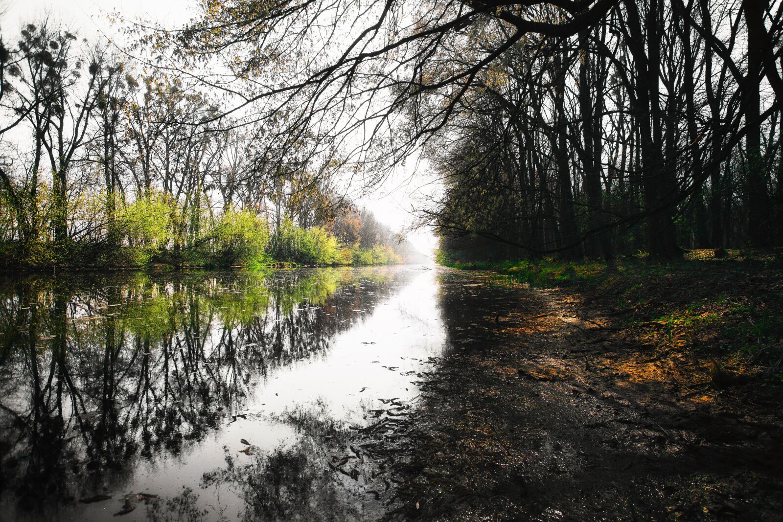 Canon EOS 6D + Canon EF 17-40mm F4L USM sample photo. Channel, river, water photography
