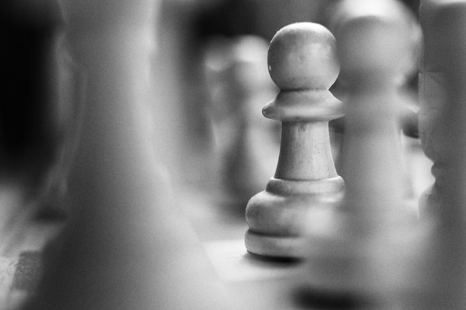 Canon EOS 5D Mark II sample photo. Chess, macro, surface photography