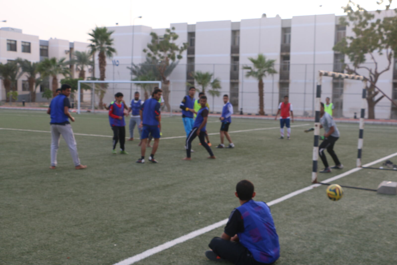Canon EOS 70D sample photo