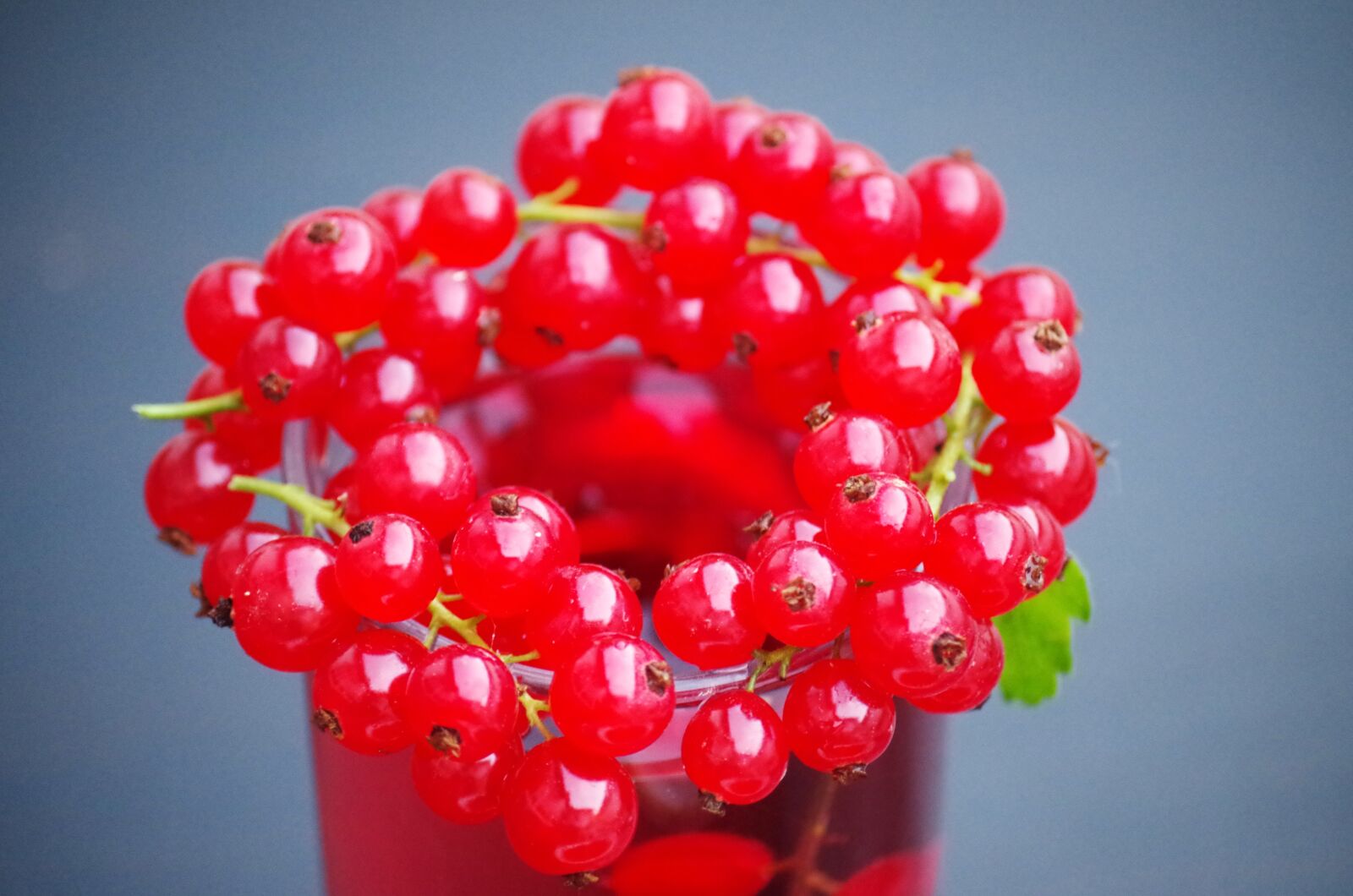 Pentax K-500 sample photo. Currant, fruit, health photography
