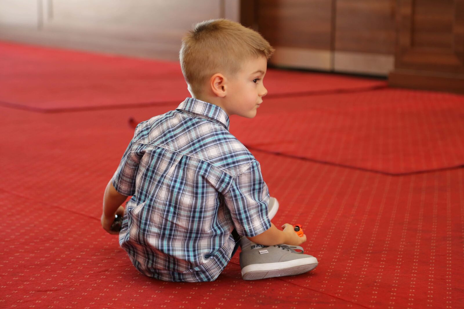 Canon EF 24-105mm F4L IS USM sample photo. Boy, red carpet, playful photography