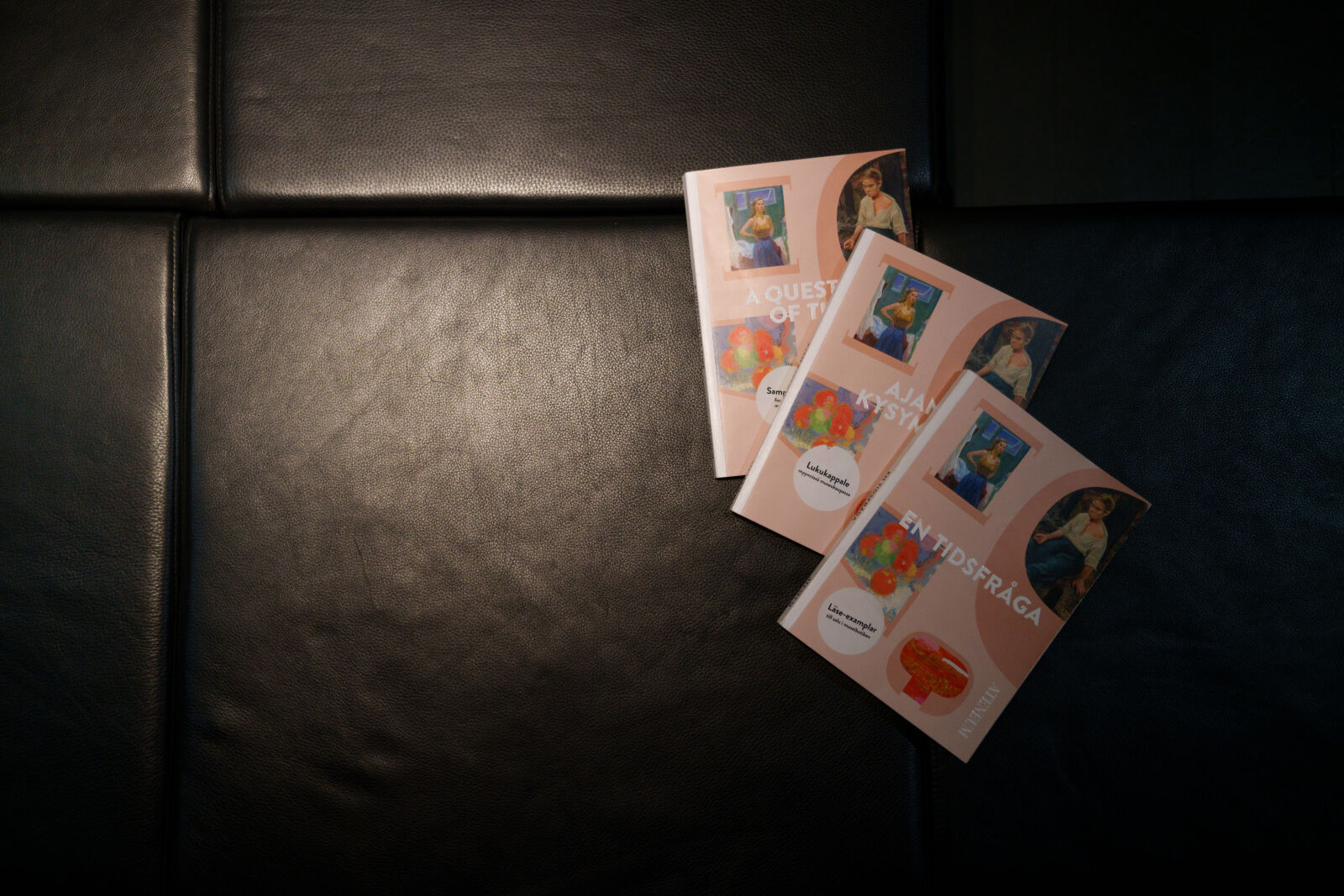 Sony a7R V sample photo. Exhibition book sample photography