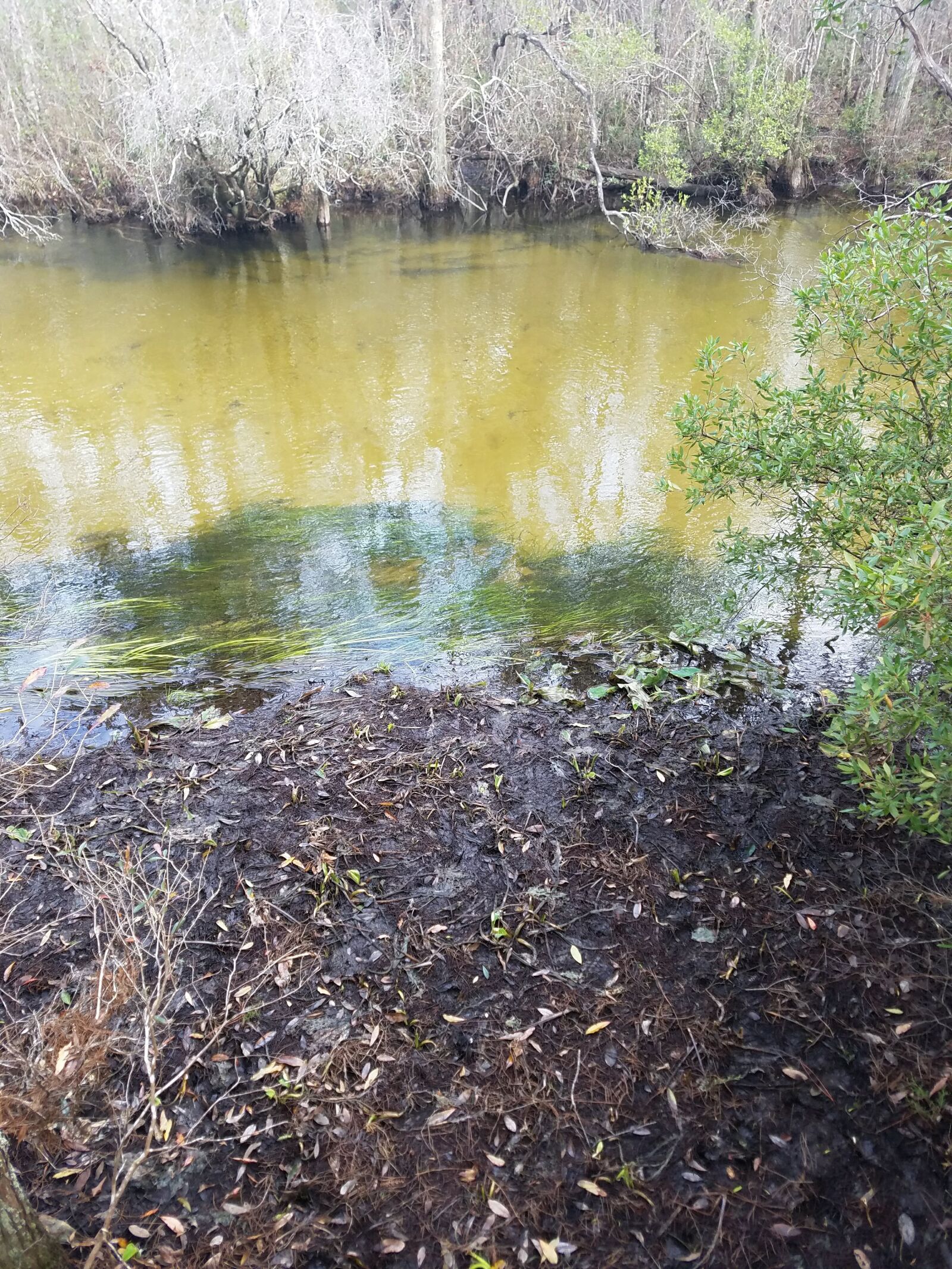 Samsung Galaxy S7 sample photo. River, bank, water photography
