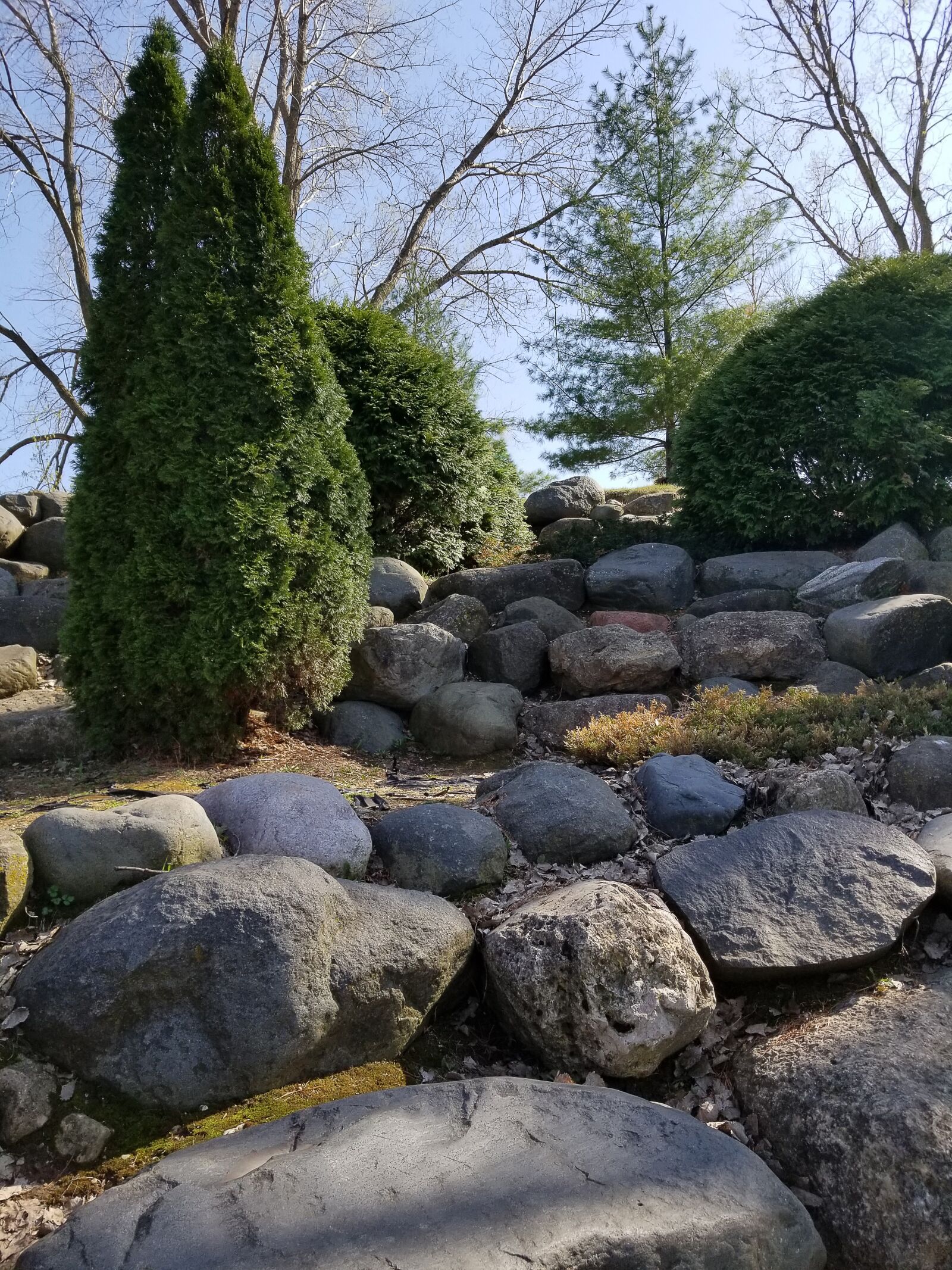 Samsung Galaxy S8 sample photo. Background, park, nature photography