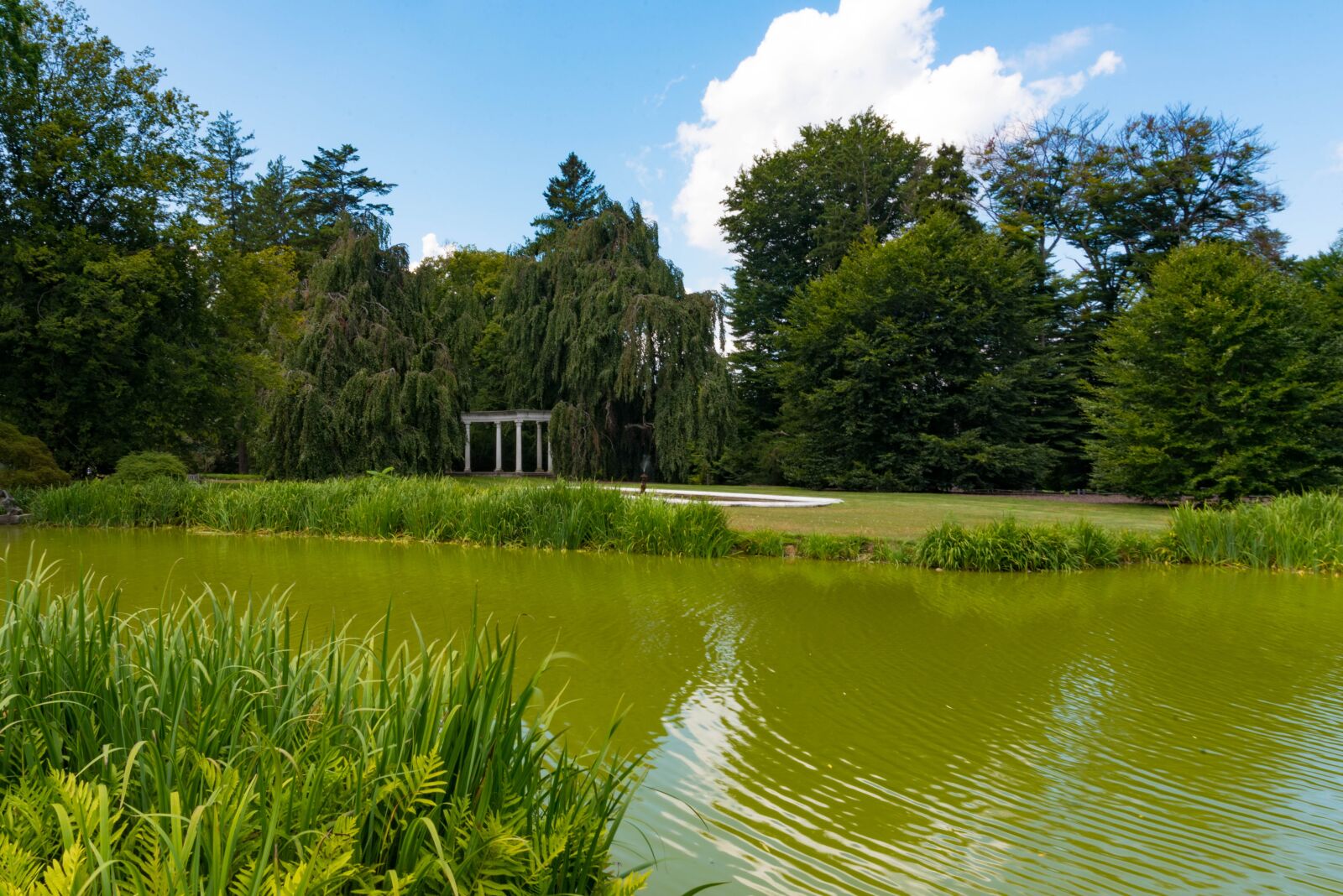 Nikon D750 sample photo. Planting fields, foliage, estate photography