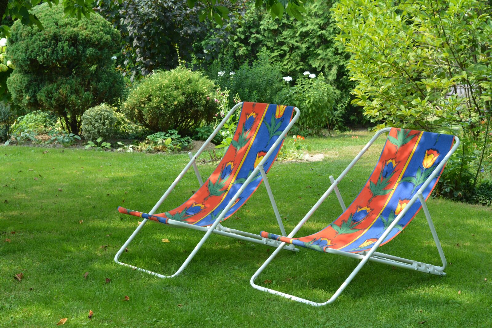 Nikon D5200 sample photo. Relaxation, rest, holiday photography