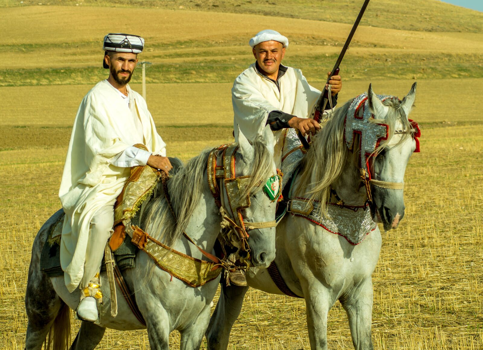 Sony SLT-A58 sample photo. Cavalry, fantazia, wedding photography
