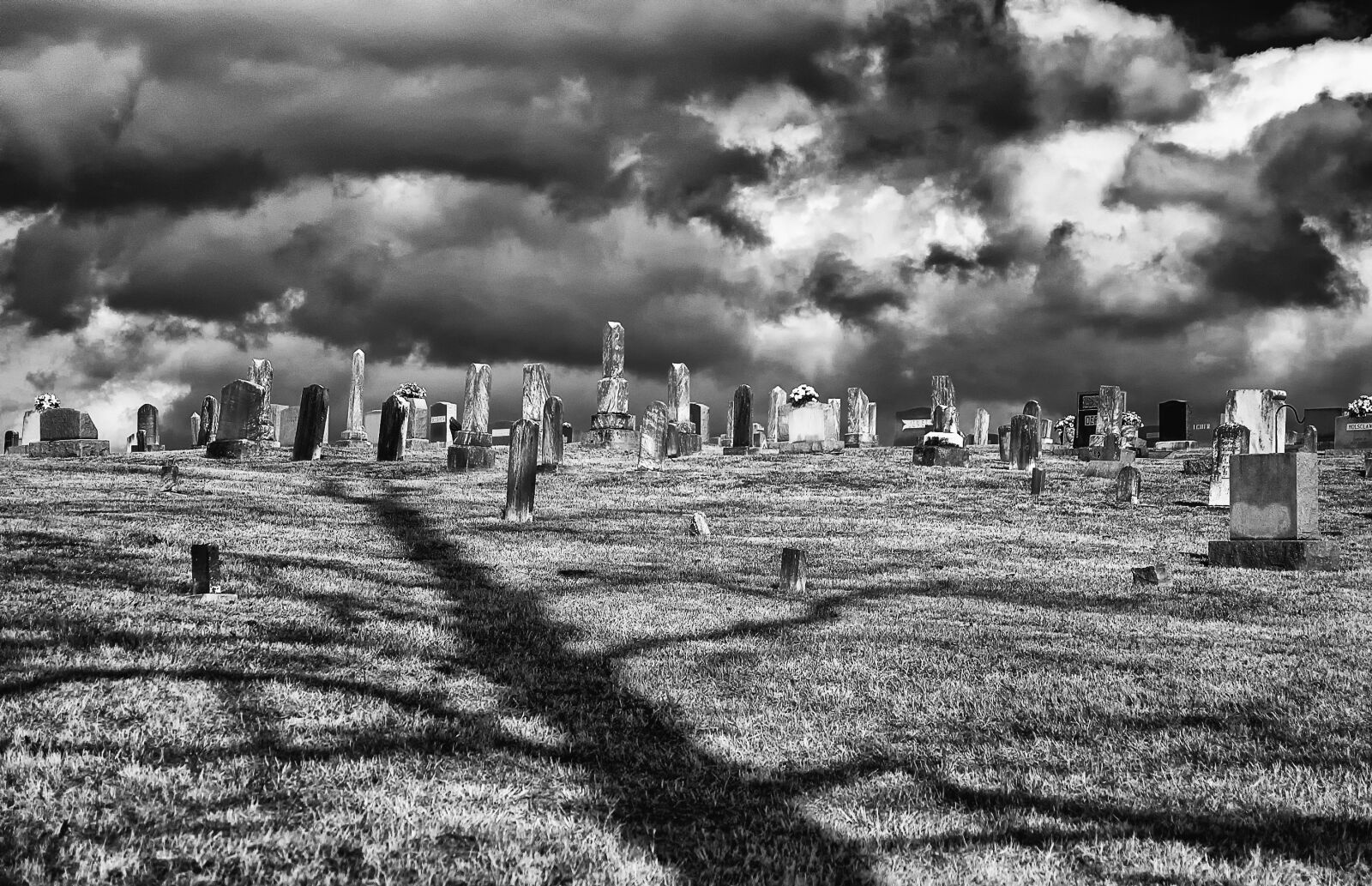 Nikon D40 sample photo. Monochrome, black and white photography
