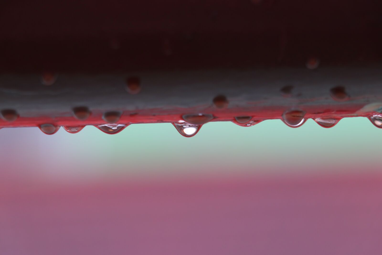 Canon EF-S 18-135mm F3.5-5.6 IS USM sample photo. Raindrop, drop of water photography