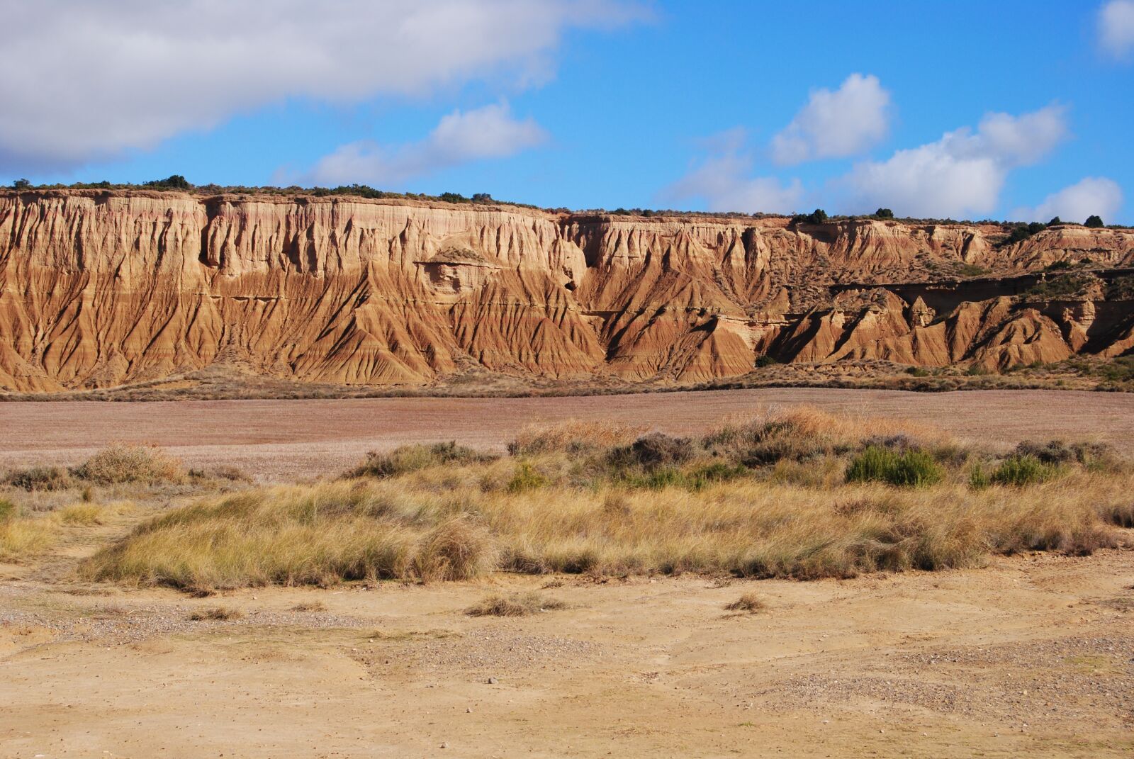 Nikon D3000 sample photo. Bardenas, real, spain photography