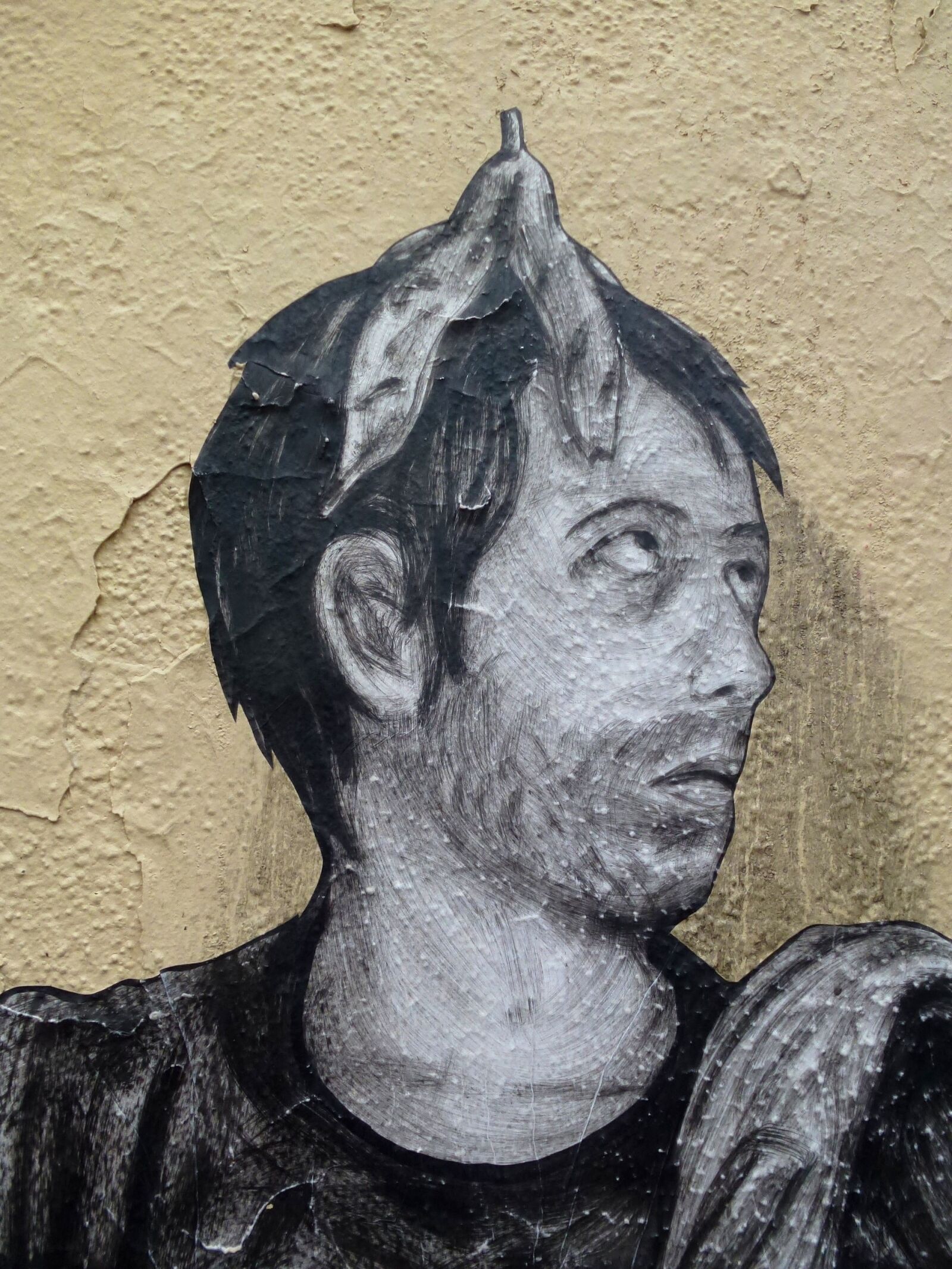 Panasonic Lumix DMC-ZS10 (Lumix DMC-TZ20 / Lumix DMC-TZ22) sample photo. Wall, street art, black photography