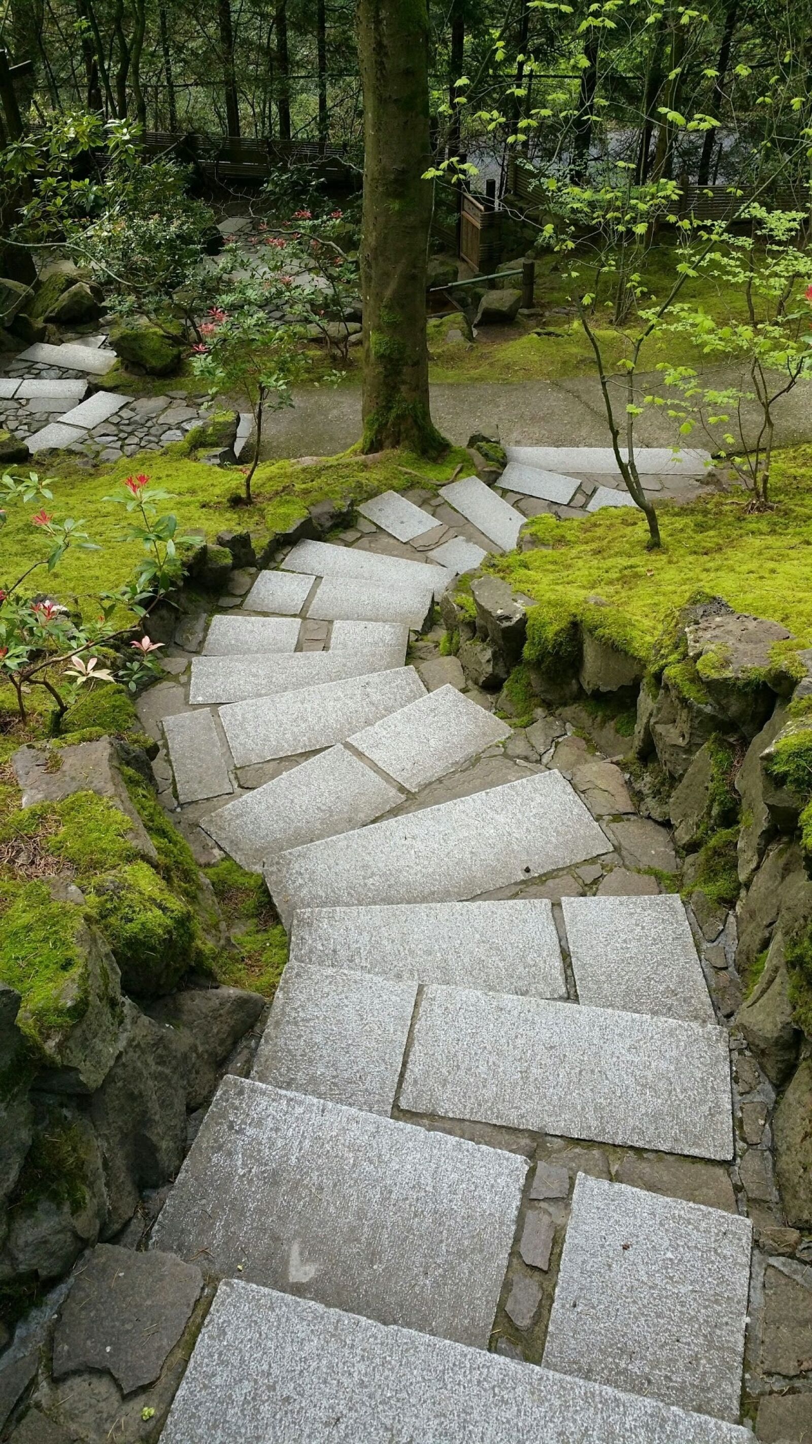 Samsung Galaxy Note4 sample photo. Path, japanese garden, portland photography