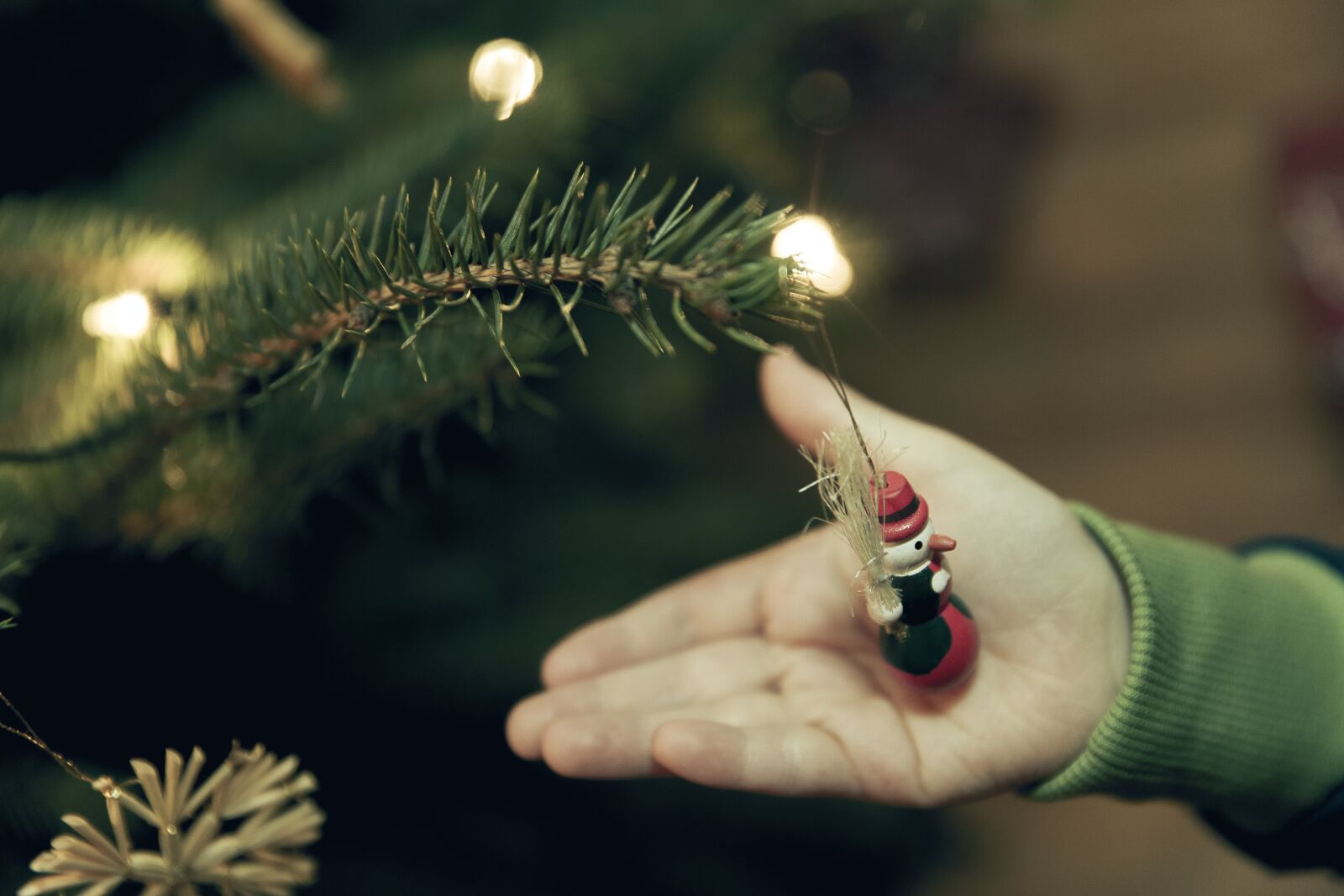 Canon EF 24-70mm F2.8L II USM sample photo. Christmas, jewellery, decoration photography