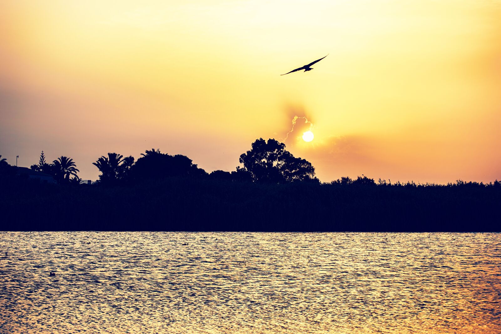 Nikon D3300 sample photo. Sunset, laguna, sun photography