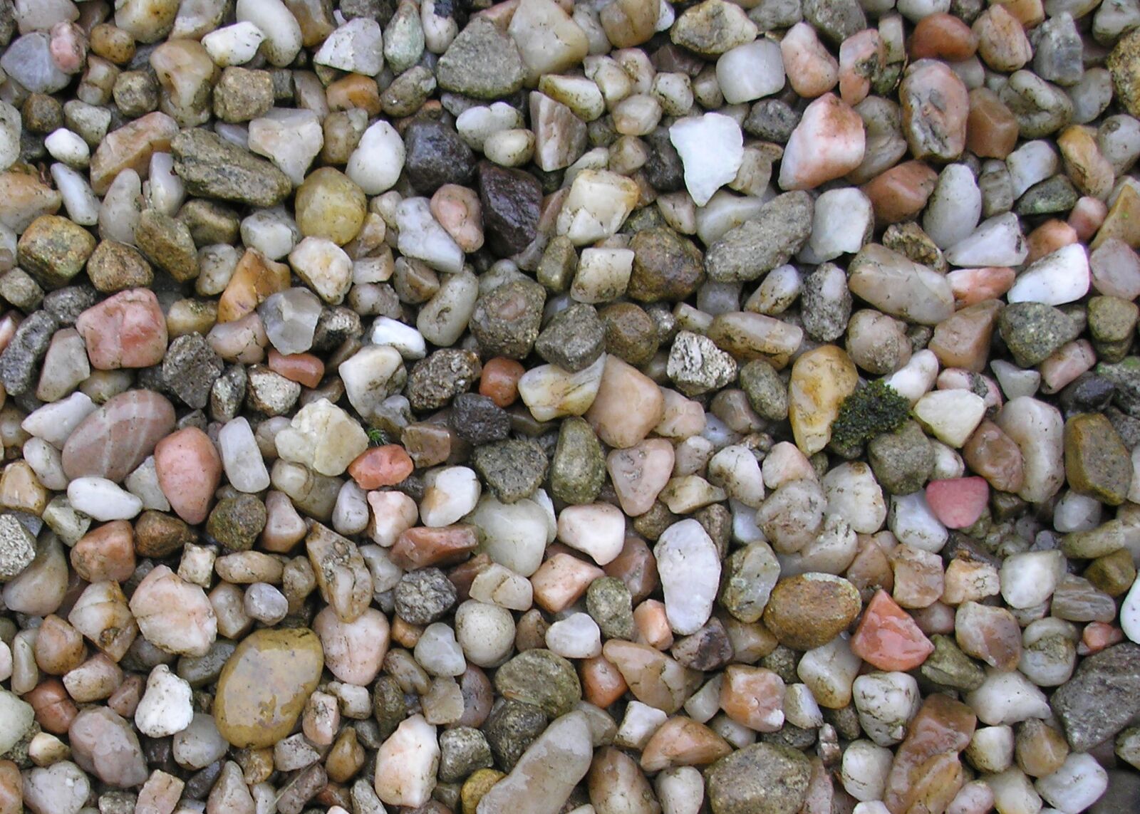 Olympus FE-120,X-700 sample photo. Pebbles, shore, background photography