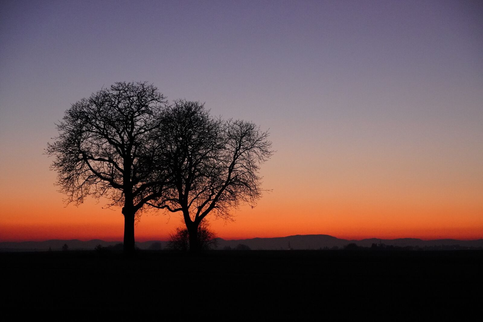 Sony E 18-135mm F3.5-5.6 OSS sample photo. Sunset, trees, evening sky photography