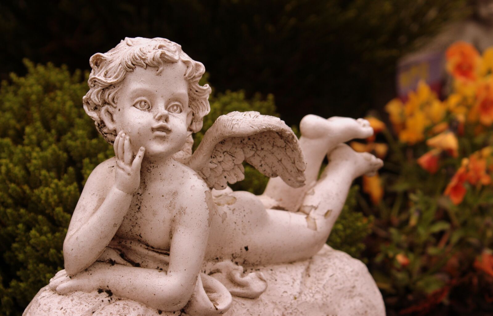 Canon EOS 650D (EOS Rebel T4i / EOS Kiss X6i) sample photo. Angel, angel figure, angel photography