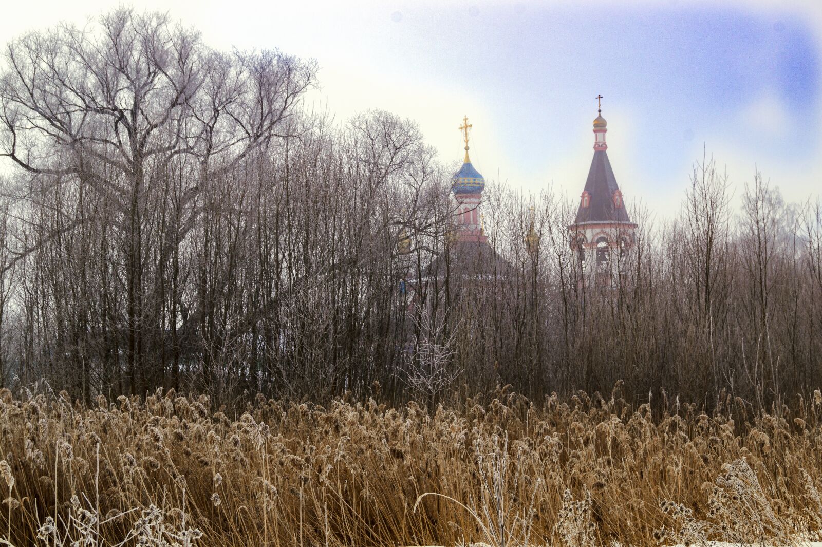 Sony SLT-A58 sample photo. Grass, temple, orthodox photography