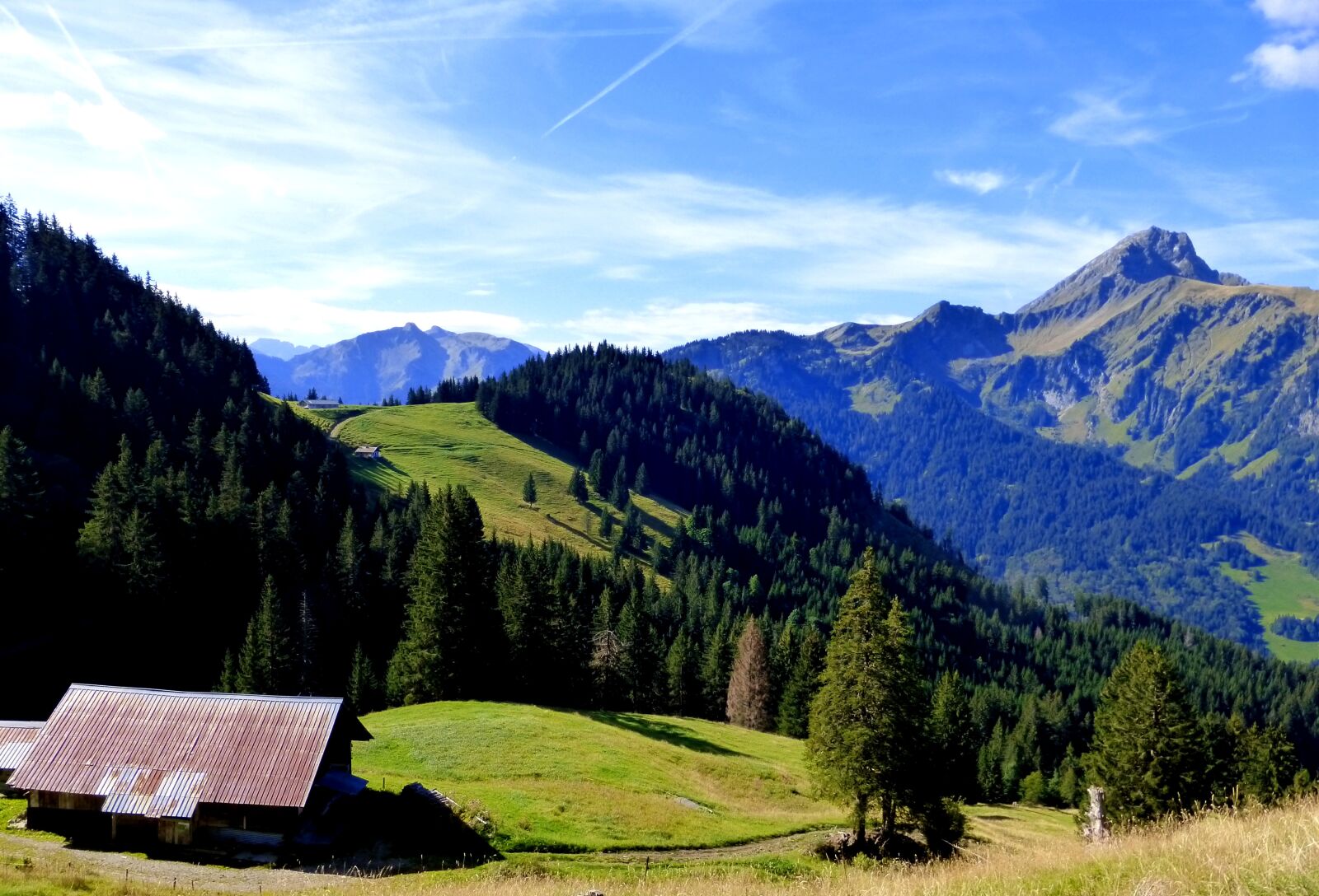 Panasonic Lumix DMC-ZS25 (Lumix DMC-TZ35) sample photo. Nature, farm, alpine photography